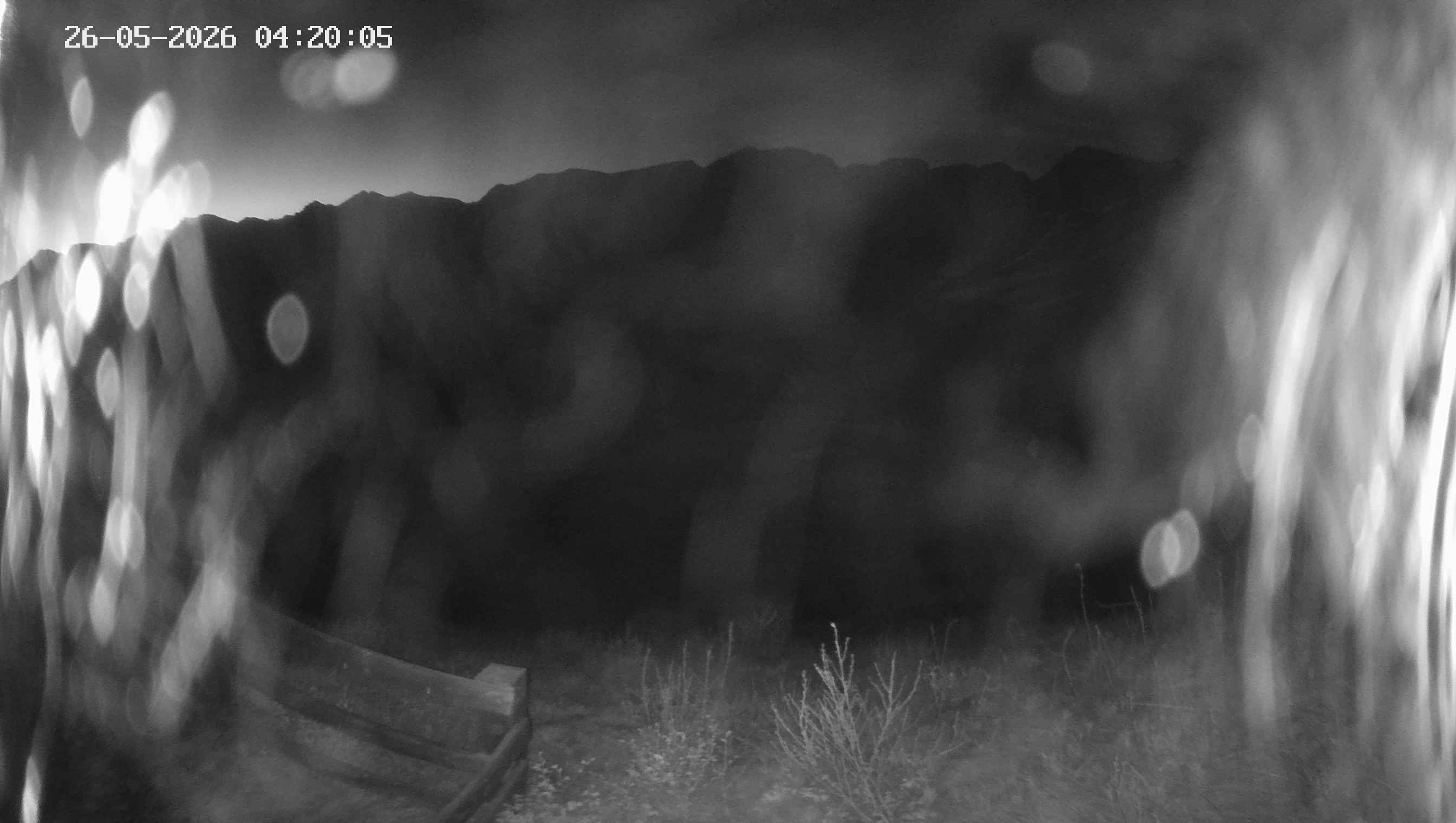 Archiv Foto Webcam Ladurns - Edelweißhütte