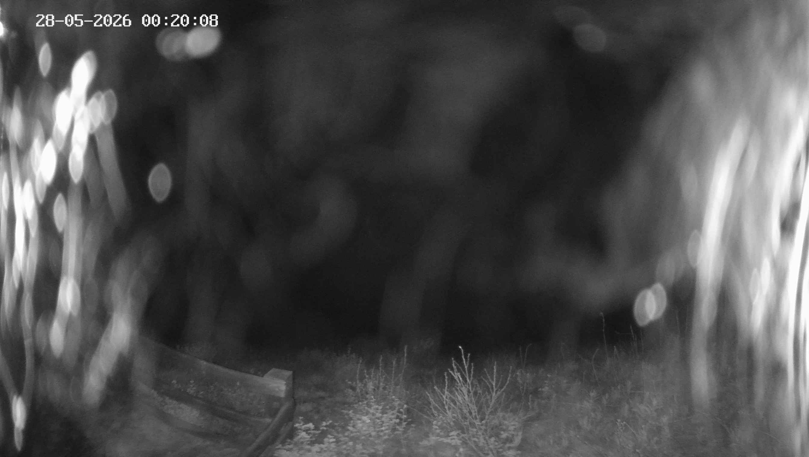 Archived image Webcam Ladurns - Malga Edelweis