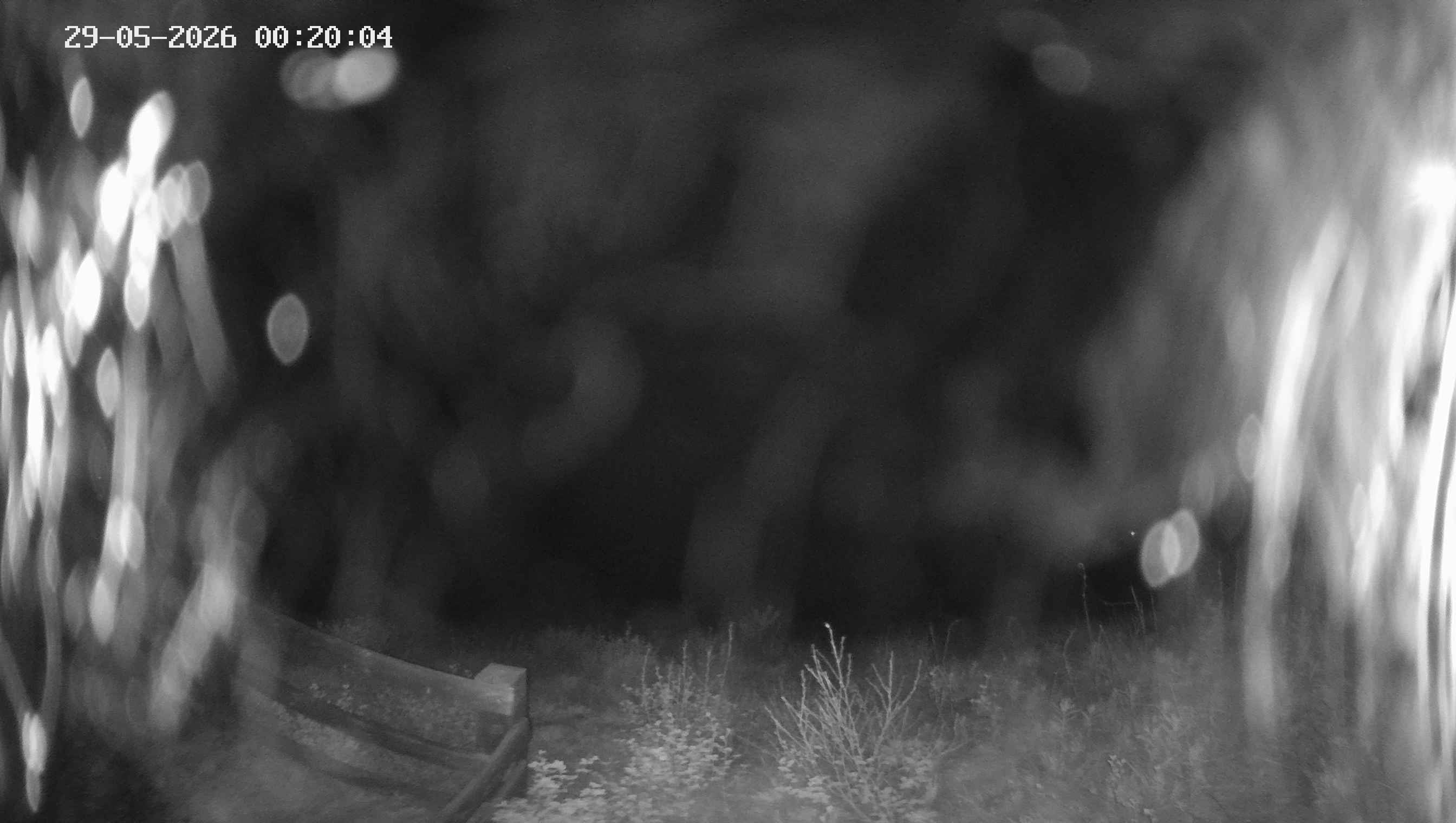 Archived image Webcam Ladurns - Malga Edelweis