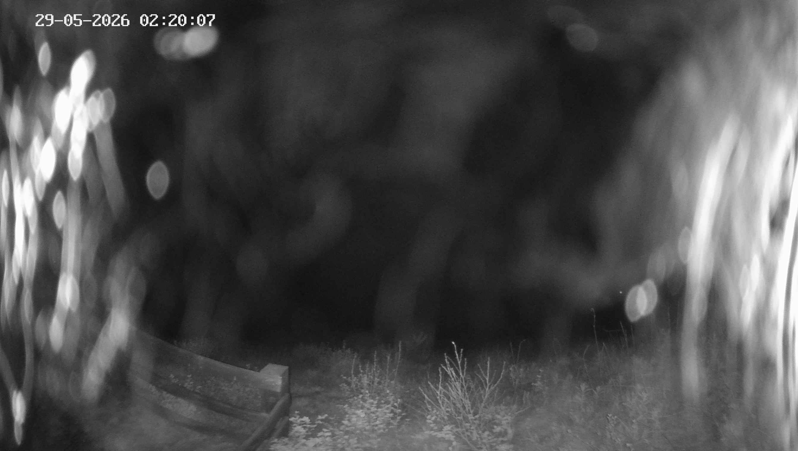 Archived image Webcam Ladurns - Malga Edelweis