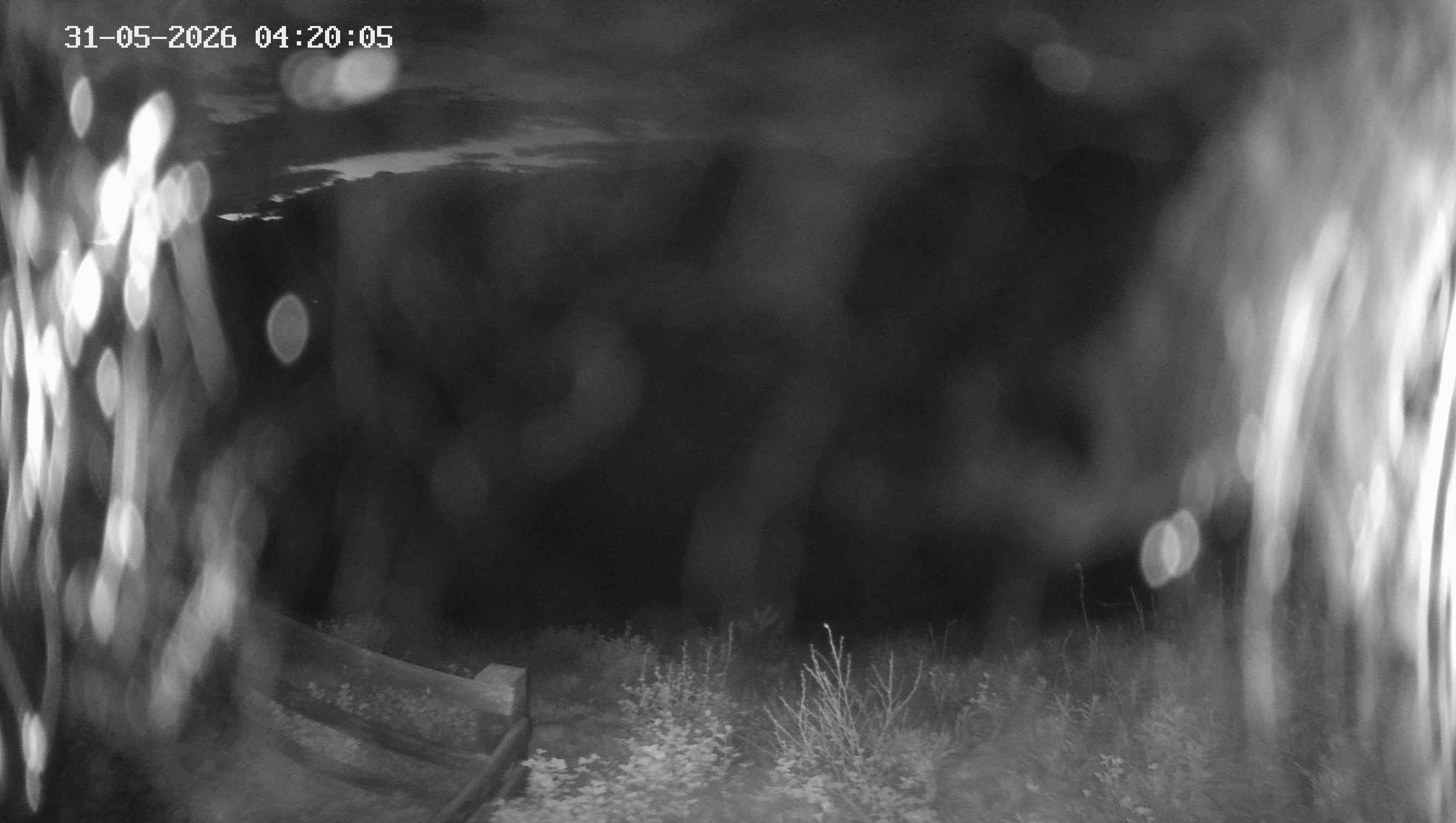 Archiv Foto Webcam Ladurns - Edelweißhütte