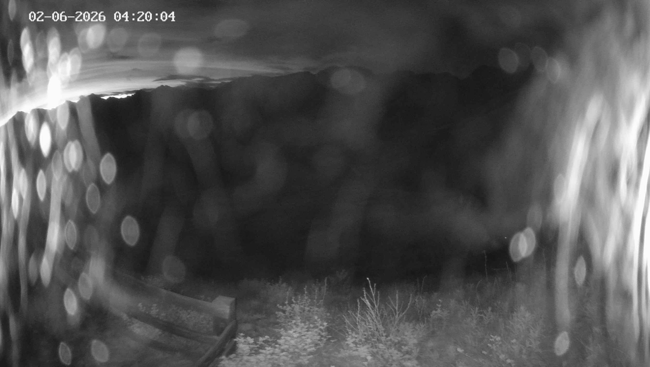 Archiv Foto Webcam Ladurns - Edelweißhütte
