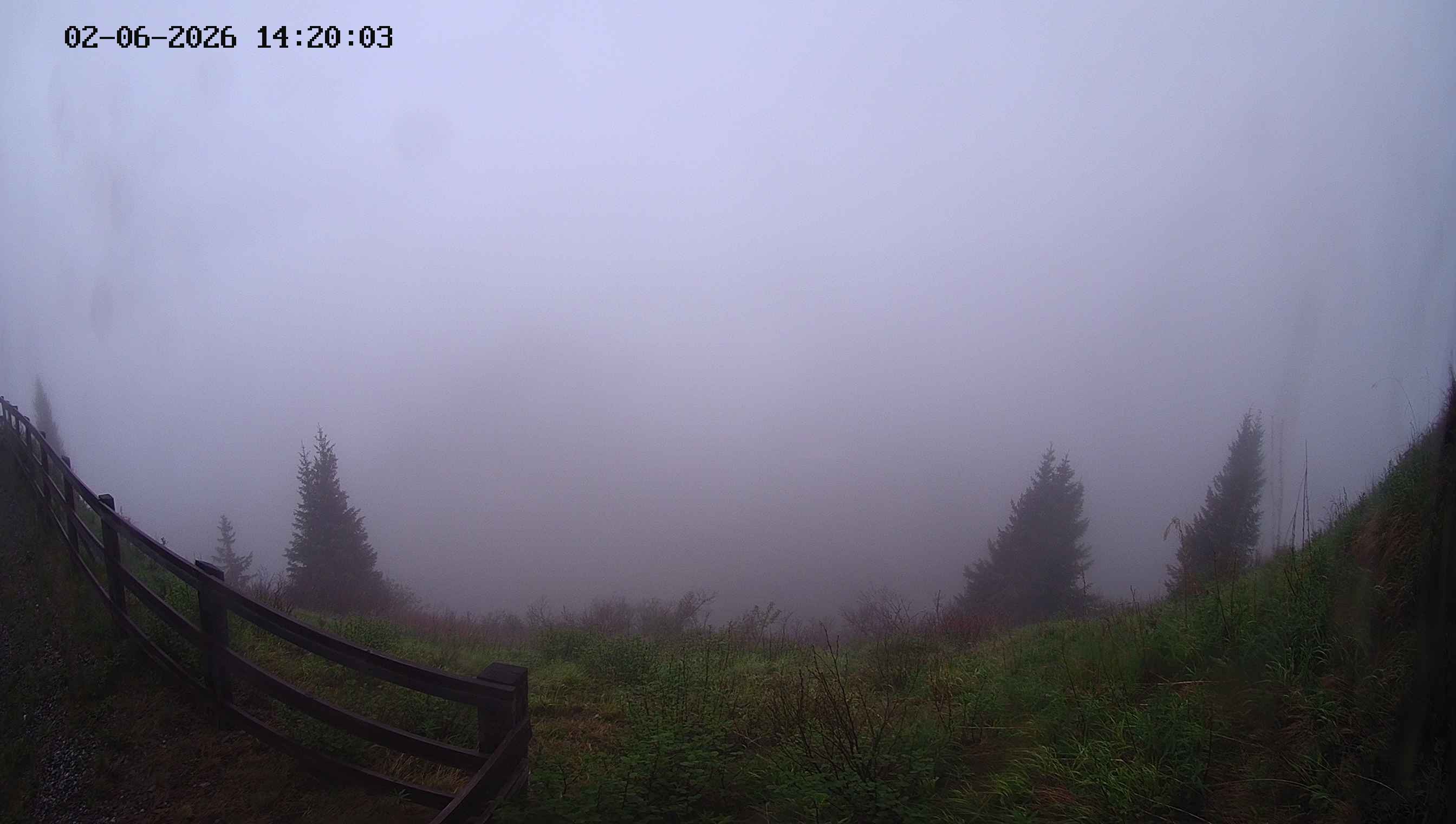 Archiv Foto Webcam Ladurns - Edelweißhütte