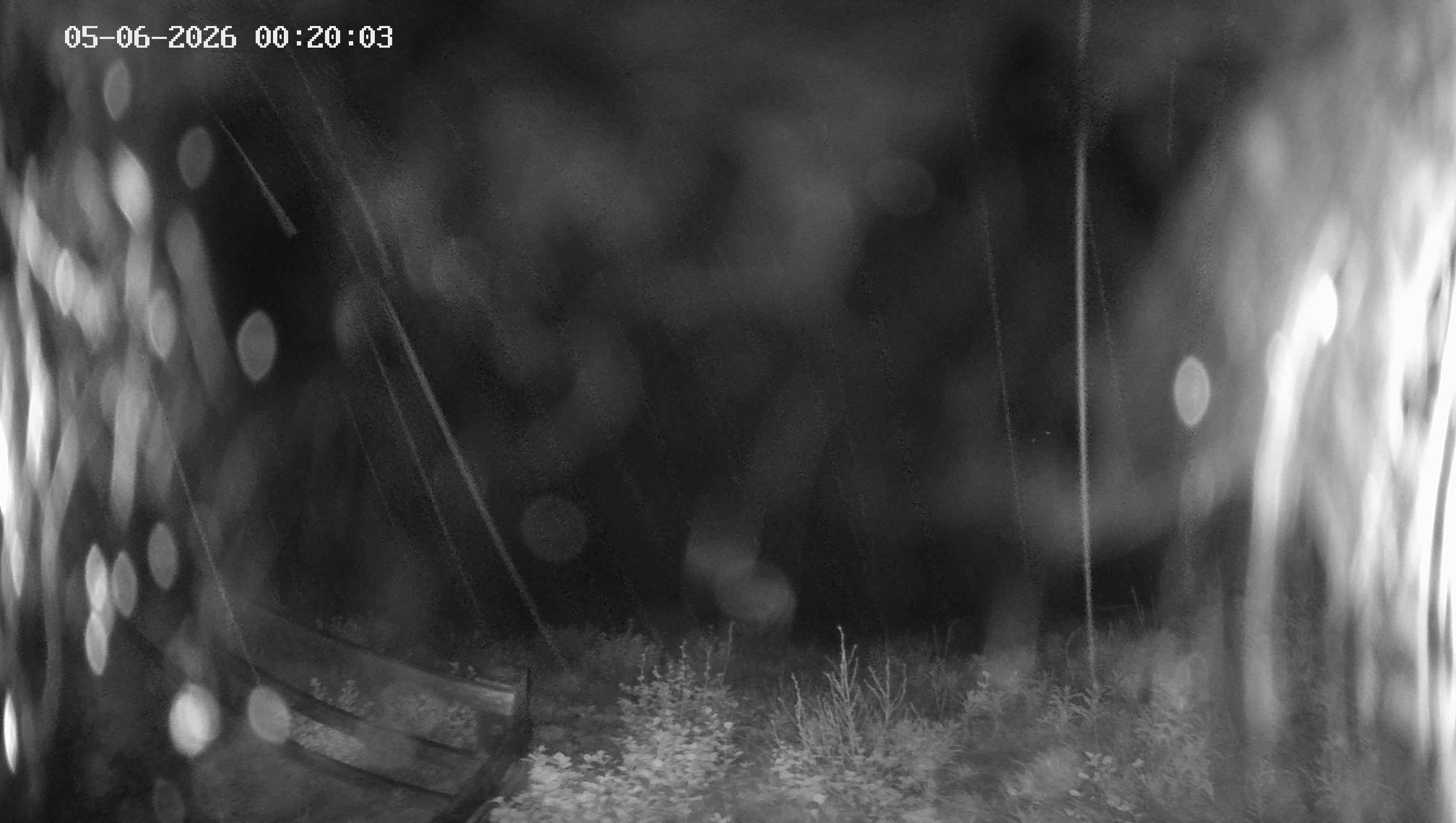 Archiv Foto Webcam Ladurns - Edelweißhütte
