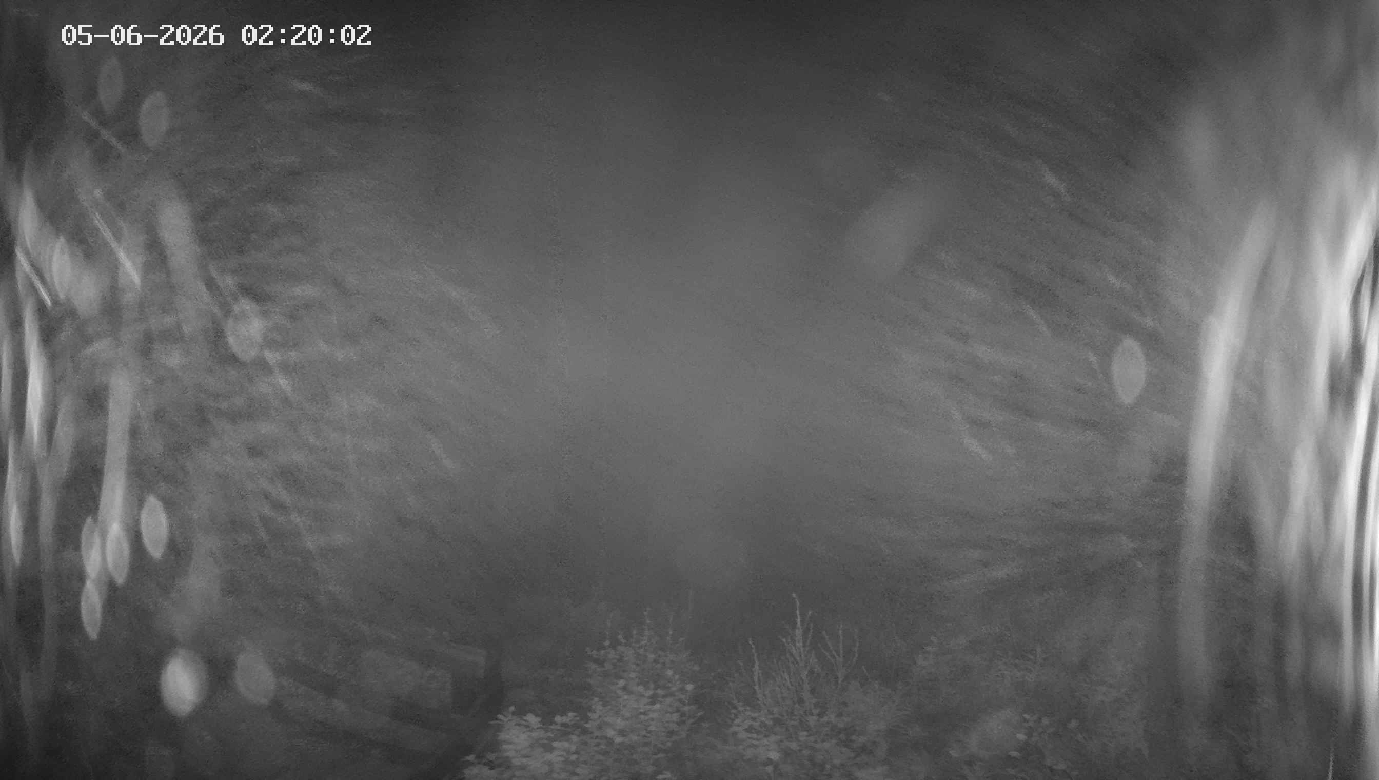 Archiv Foto Webcam Ladurns - Edelweißhütte