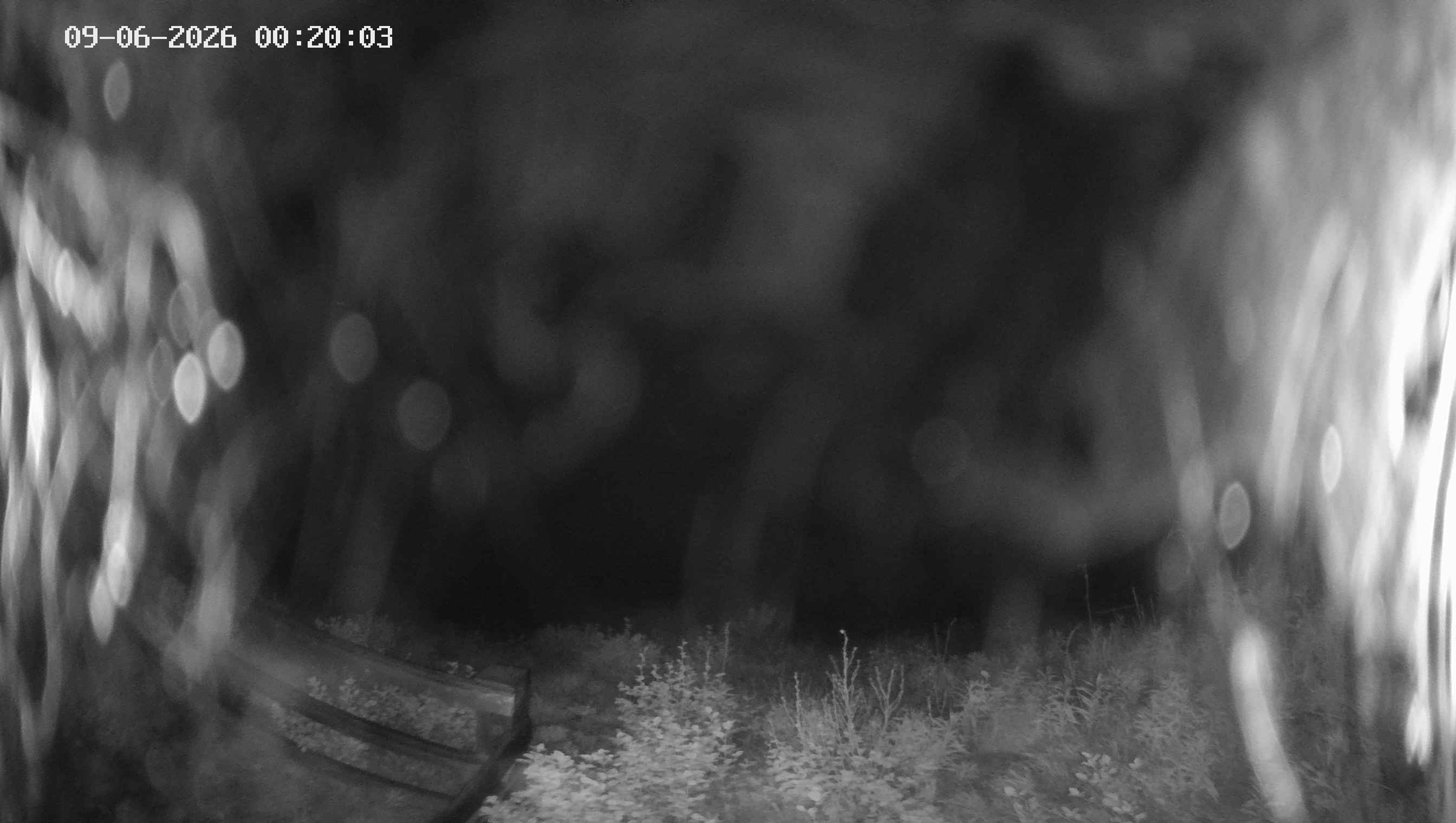 Archiv Foto Webcam Ladurns - Edelweißhütte