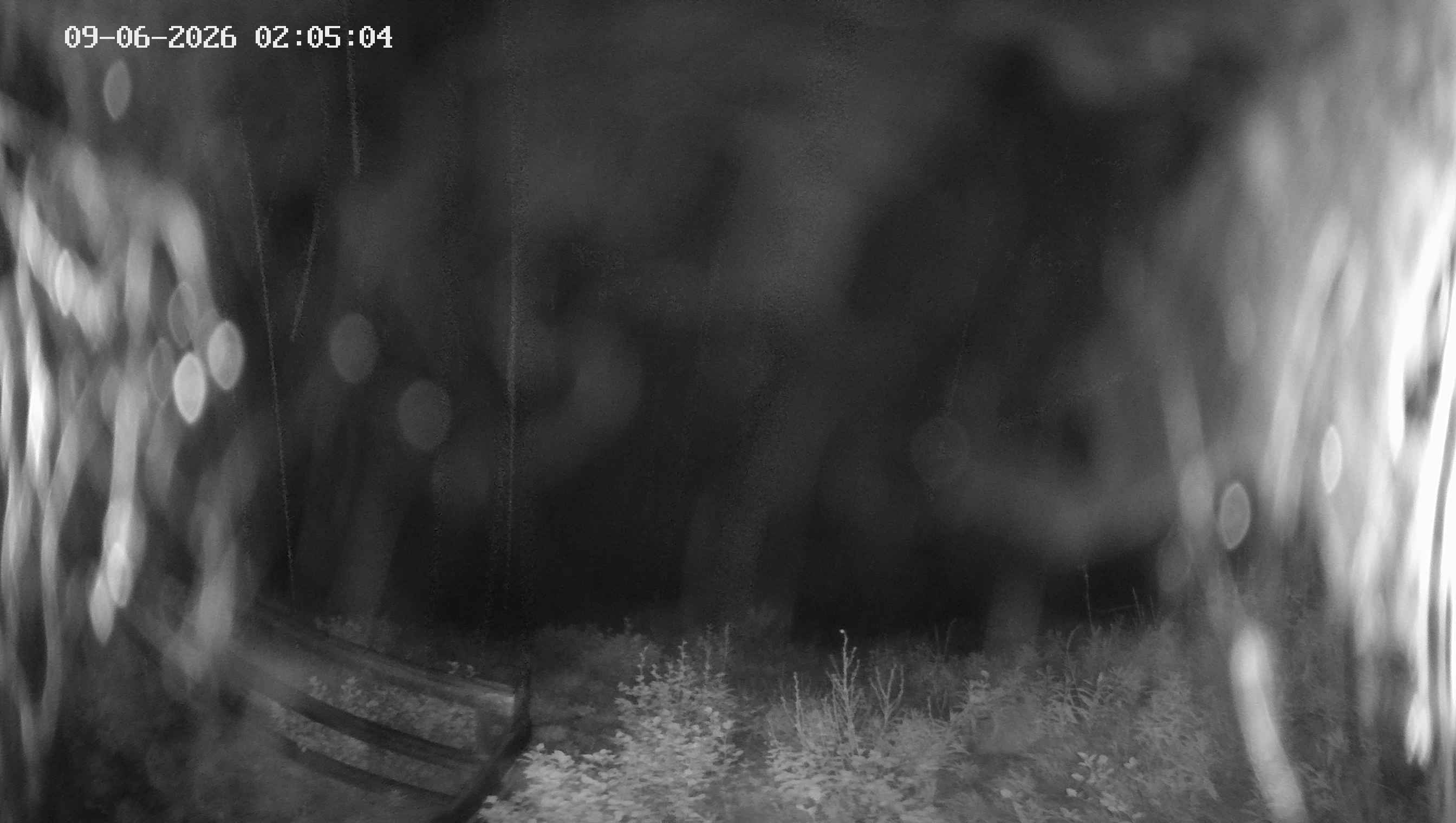 Archiv Foto Webcam Ladurns - Edelweißhütte