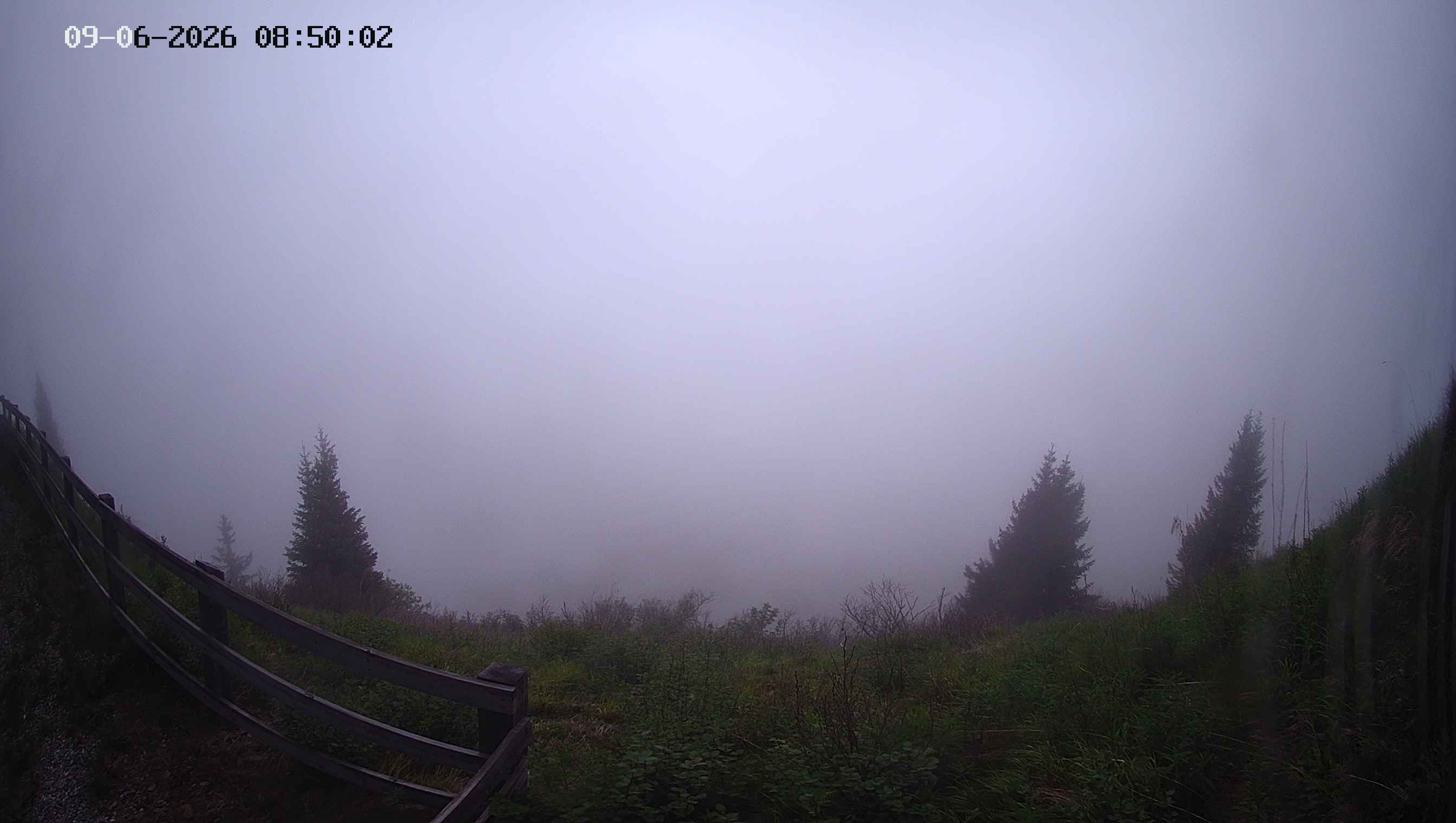 Archiv Foto Webcam Ladurns - Edelweißhütte