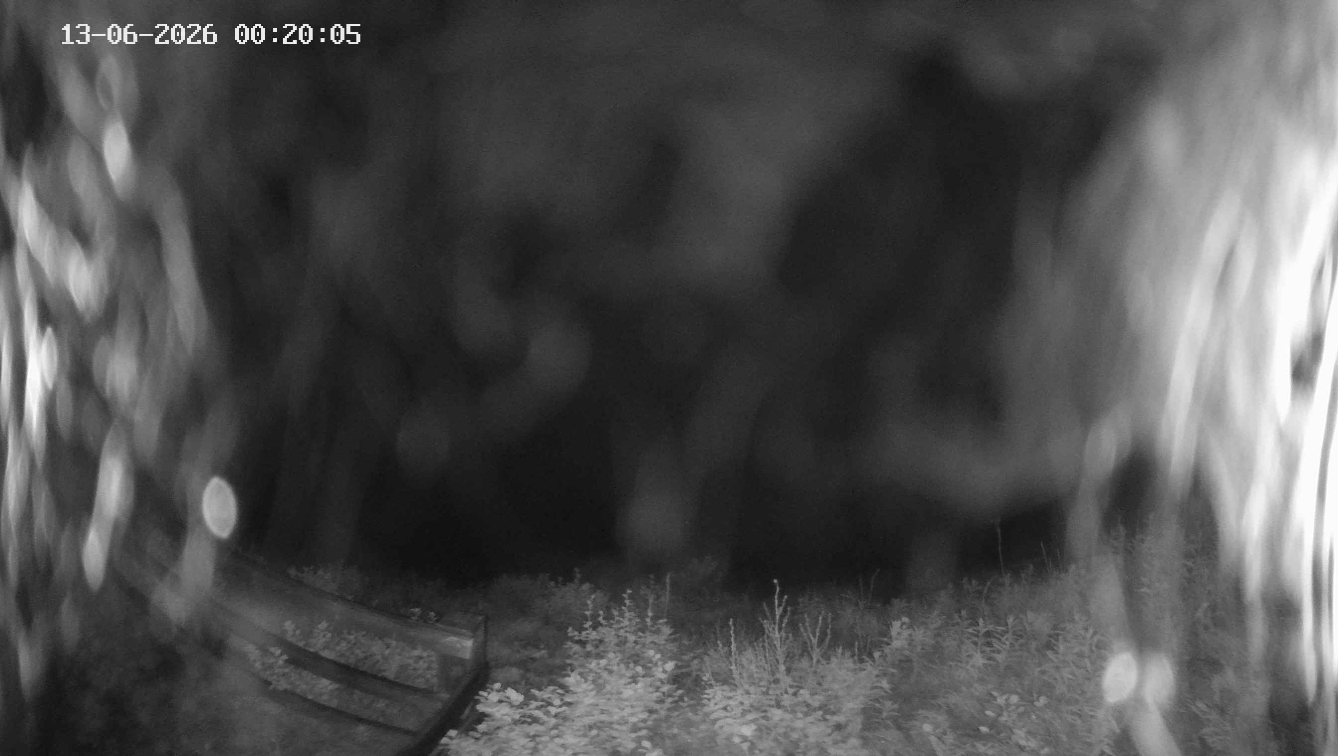 Archiv Foto Webcam Ladurns - Edelweißhütte