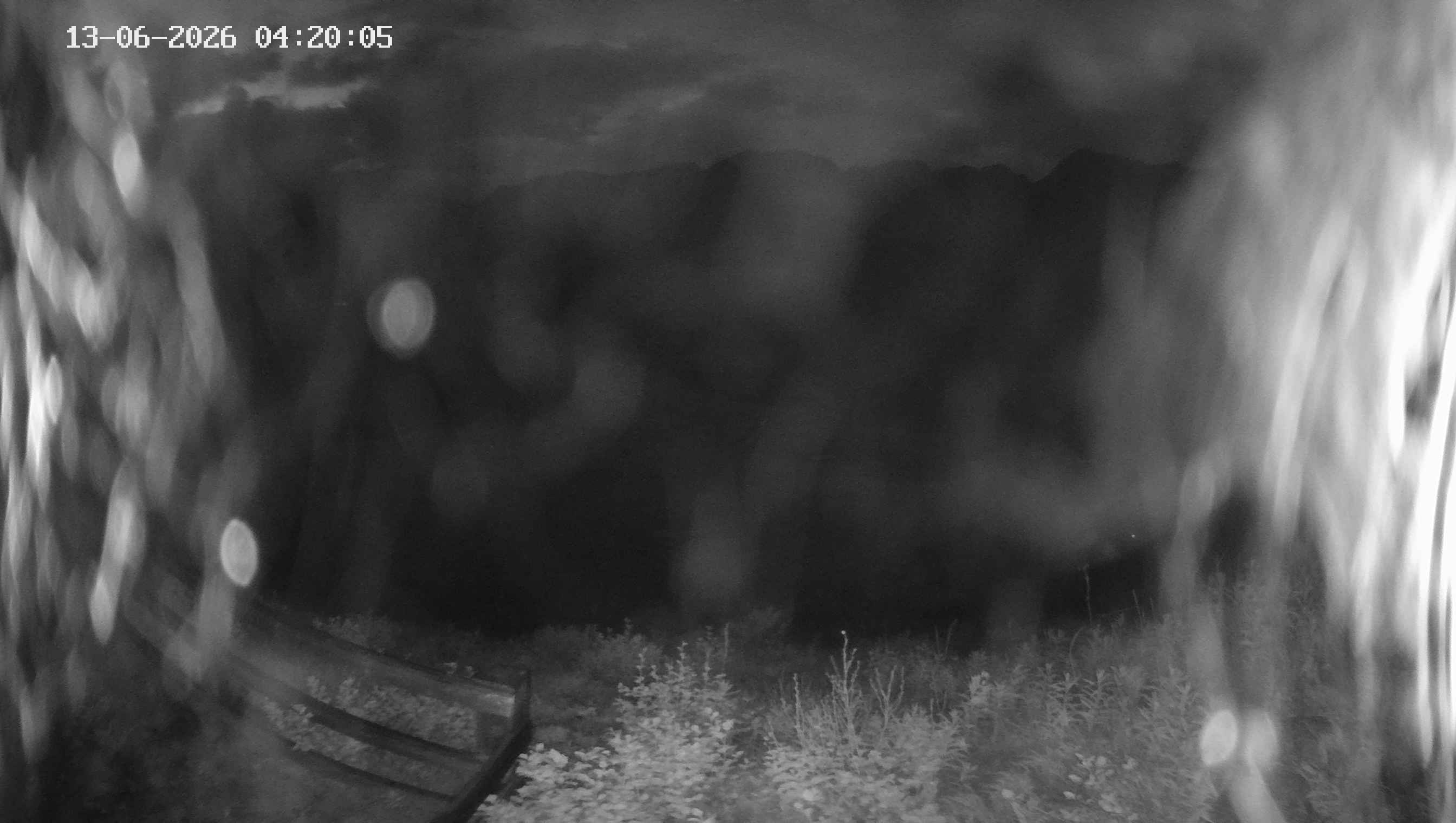Archiv Foto Webcam Ladurns - Edelweißhütte