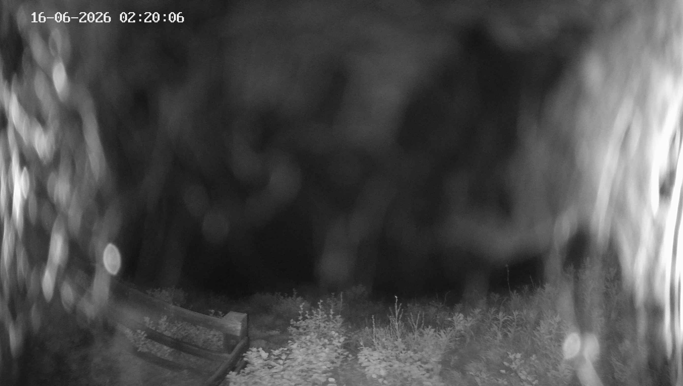 Archiv Foto Webcam Ladurns - Edelweißhütte