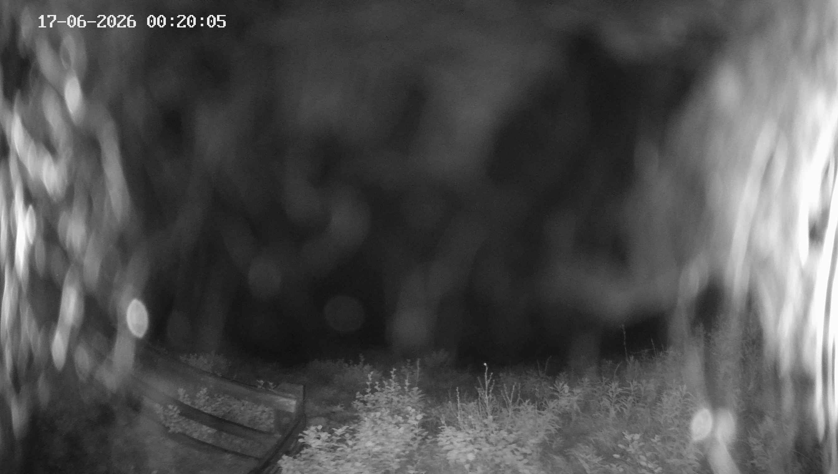 Archiv Foto Webcam Ladurns - Edelweißhütte