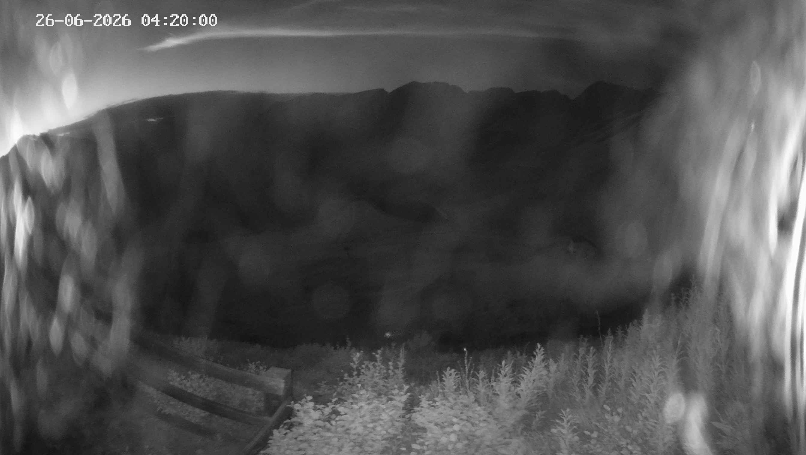Archived image Webcam Ladurns - Malga Edelweis