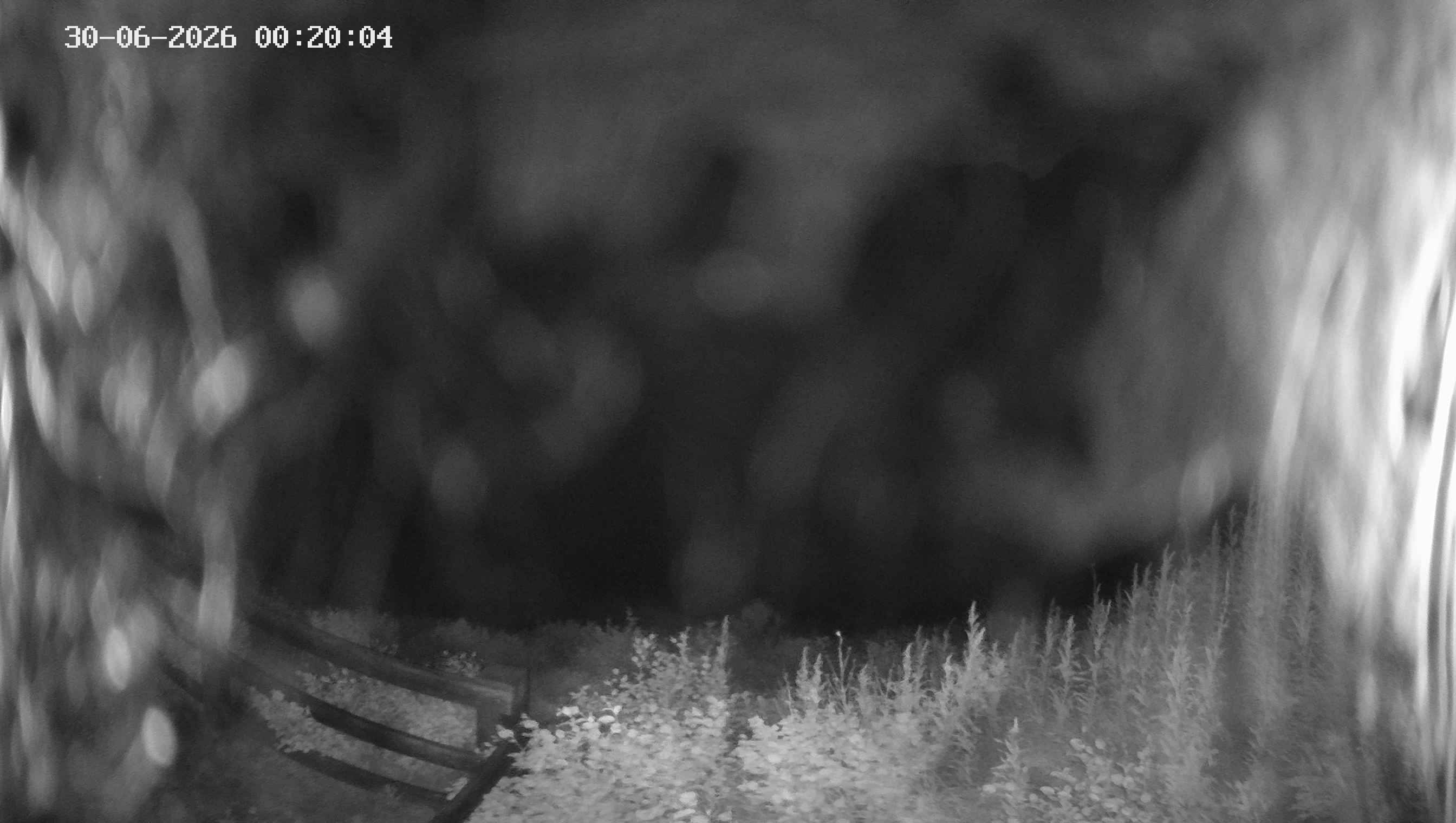 Archived image Webcam Ladurns - Malga Edelweis