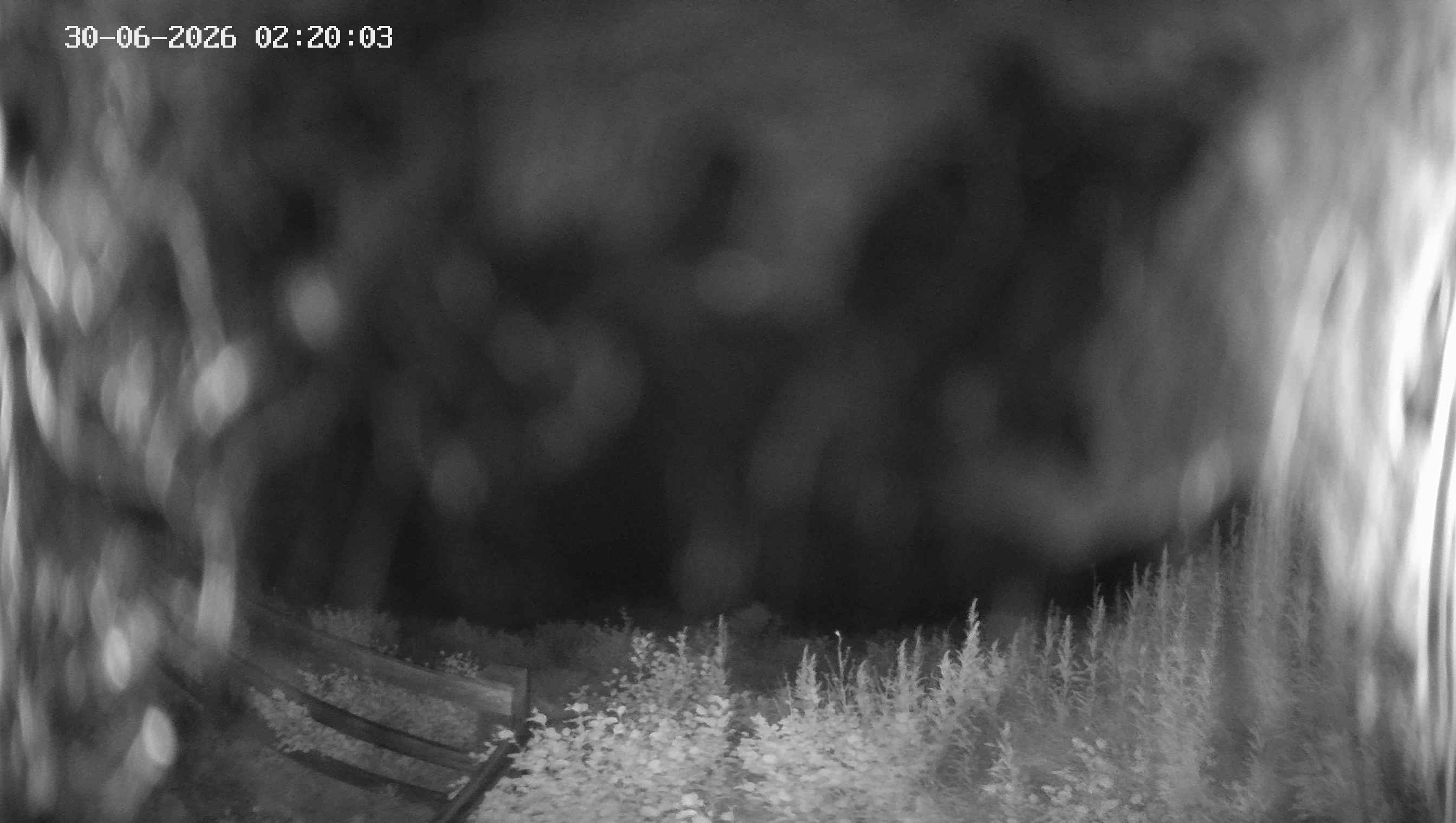 Archived image Webcam Ladurns - Malga Edelweis