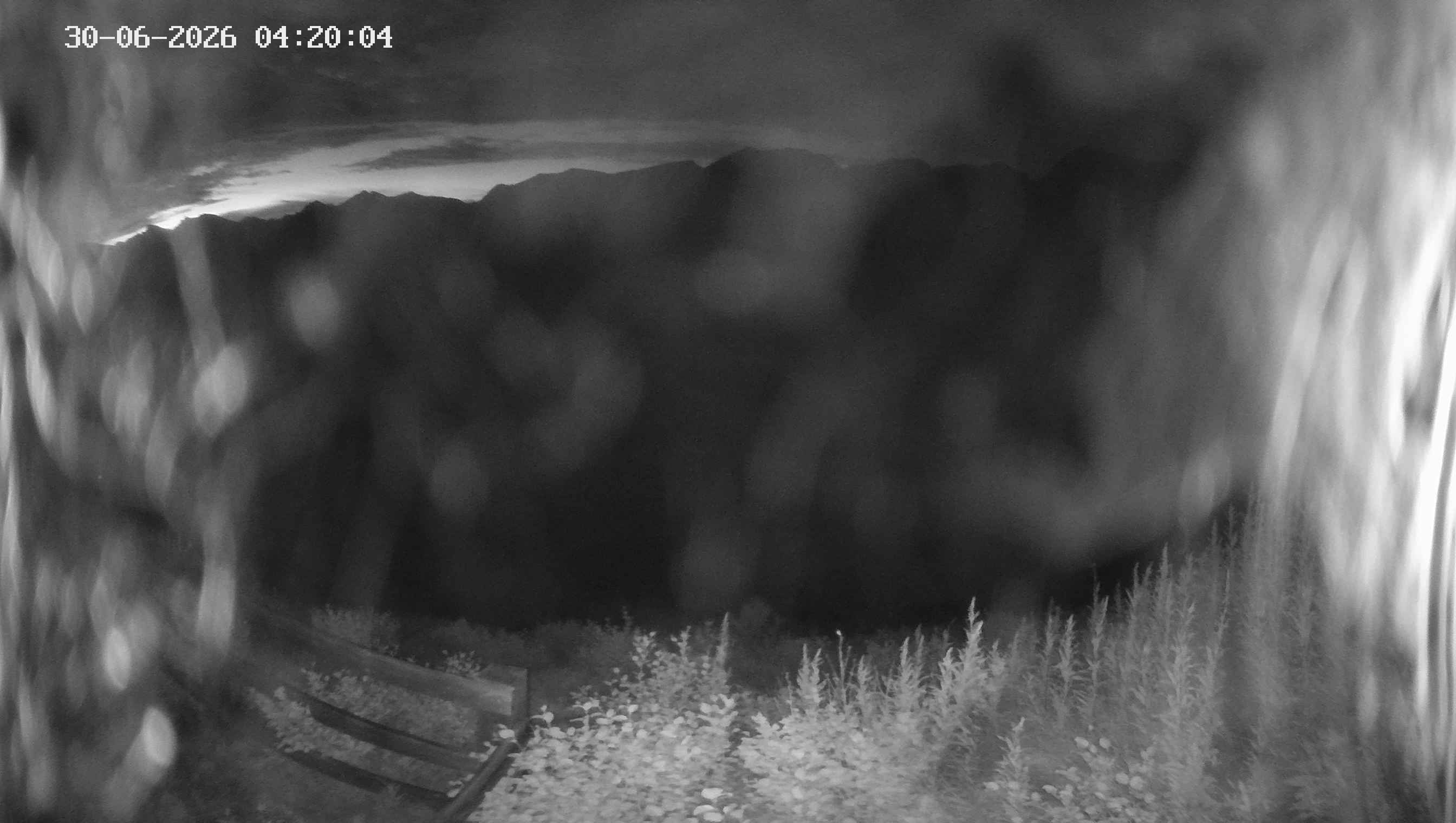 Archived image Webcam Ladurns - Malga Edelweis