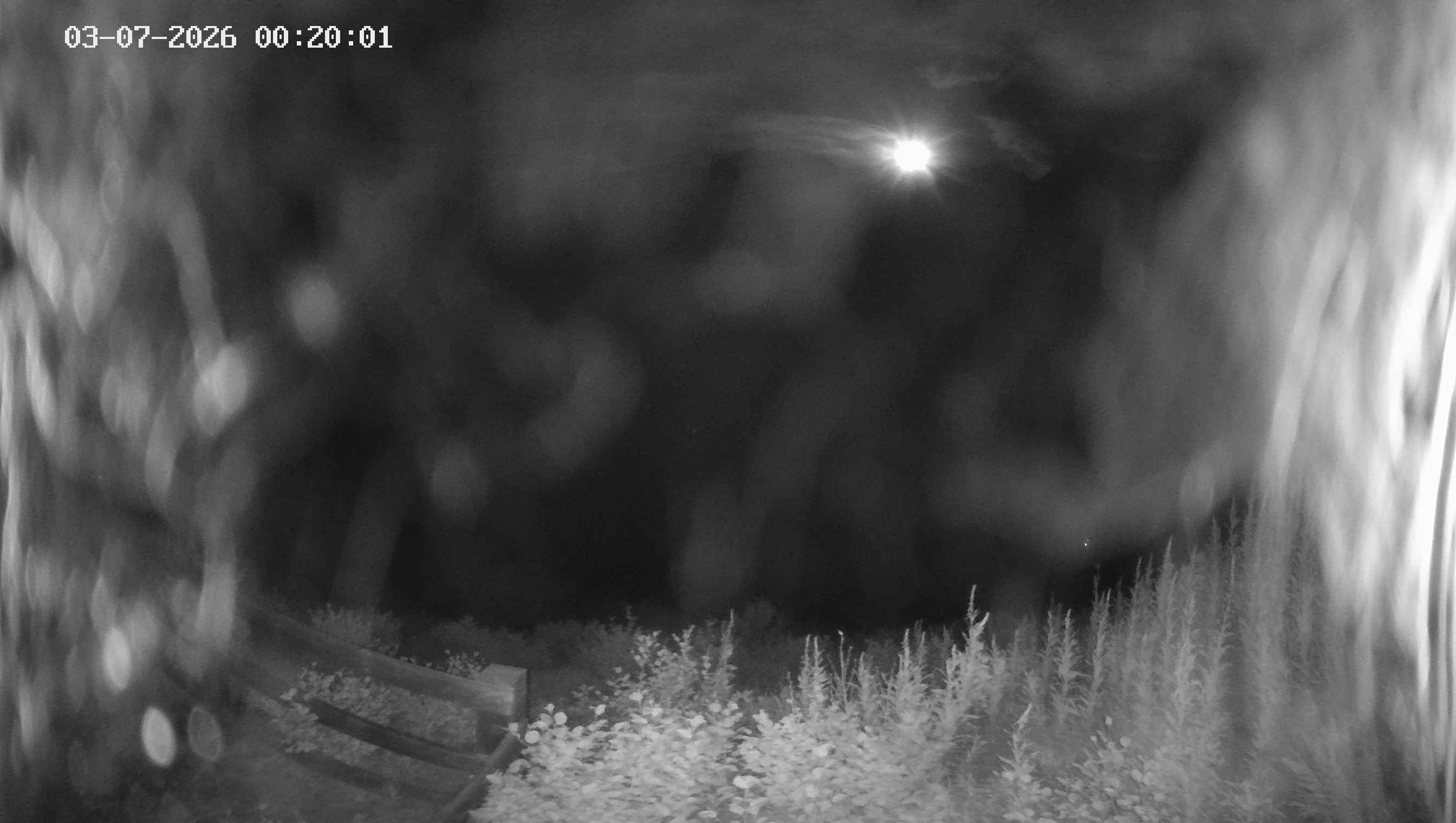 Archived image Webcam Ladurns - Malga Edelweis