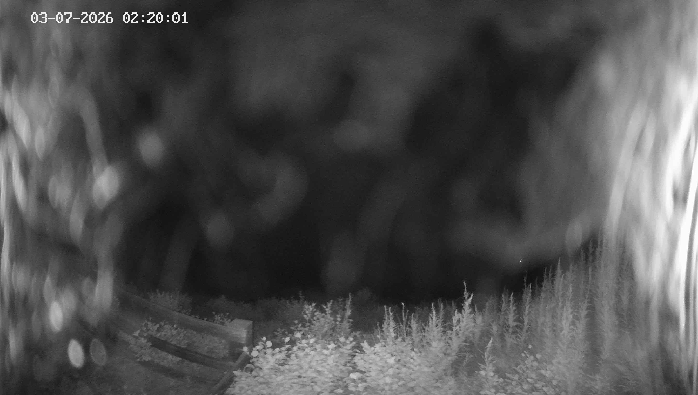 Archived image Webcam Ladurns - Malga Edelweis