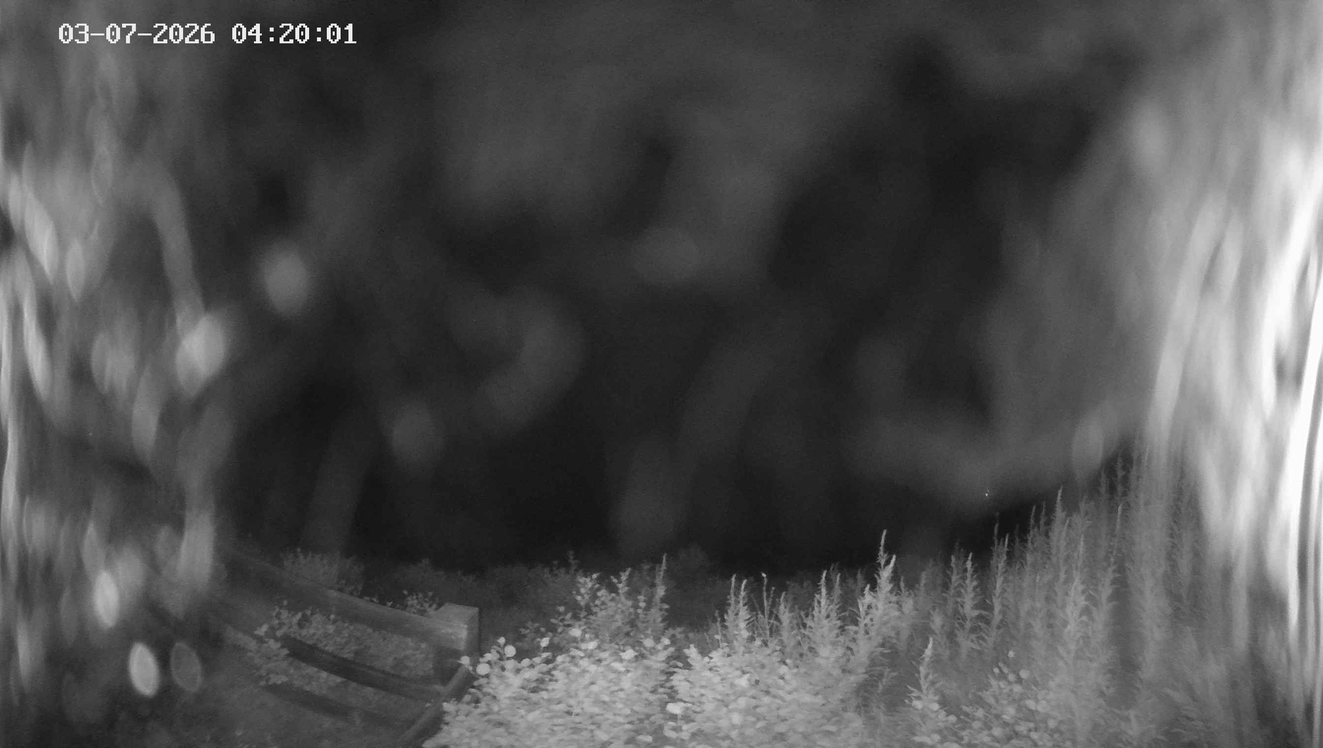 Archived image Webcam Ladurns - Malga Edelweis