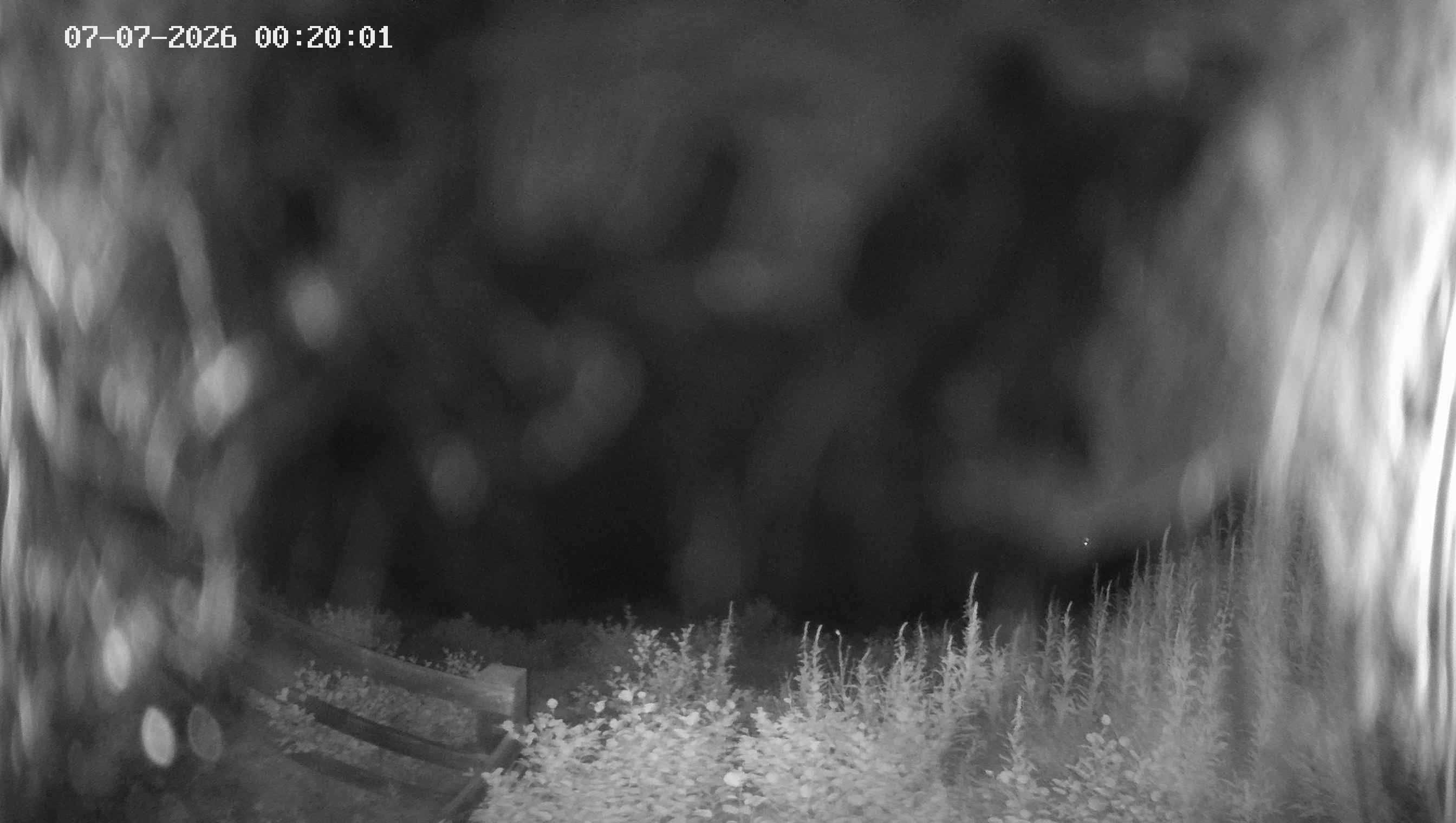 Archived image Webcam Ladurns - Malga Edelweis