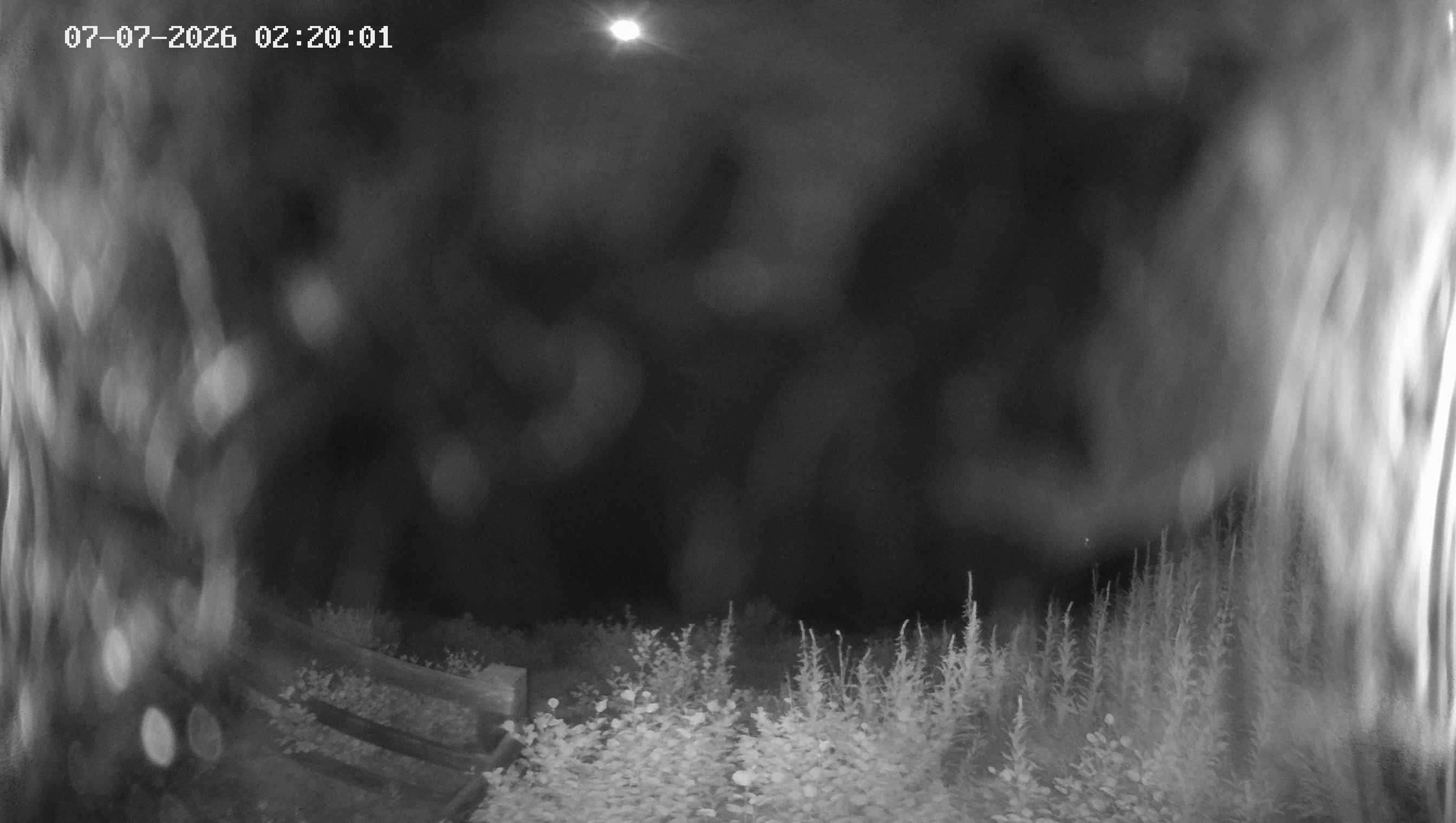 Archived image Webcam Ladurns - Malga Edelweis