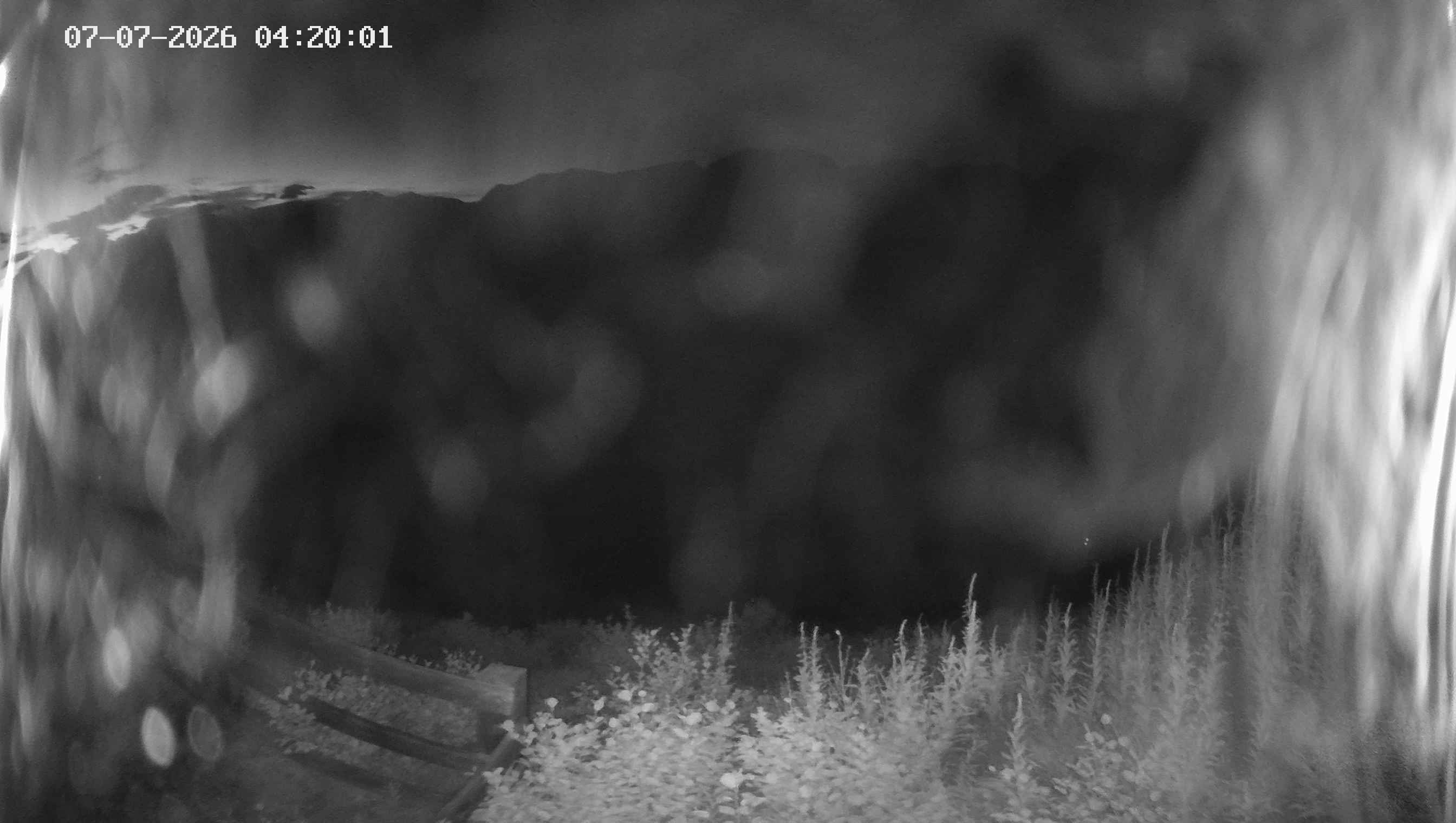 Archived image Webcam Ladurns - Malga Edelweis