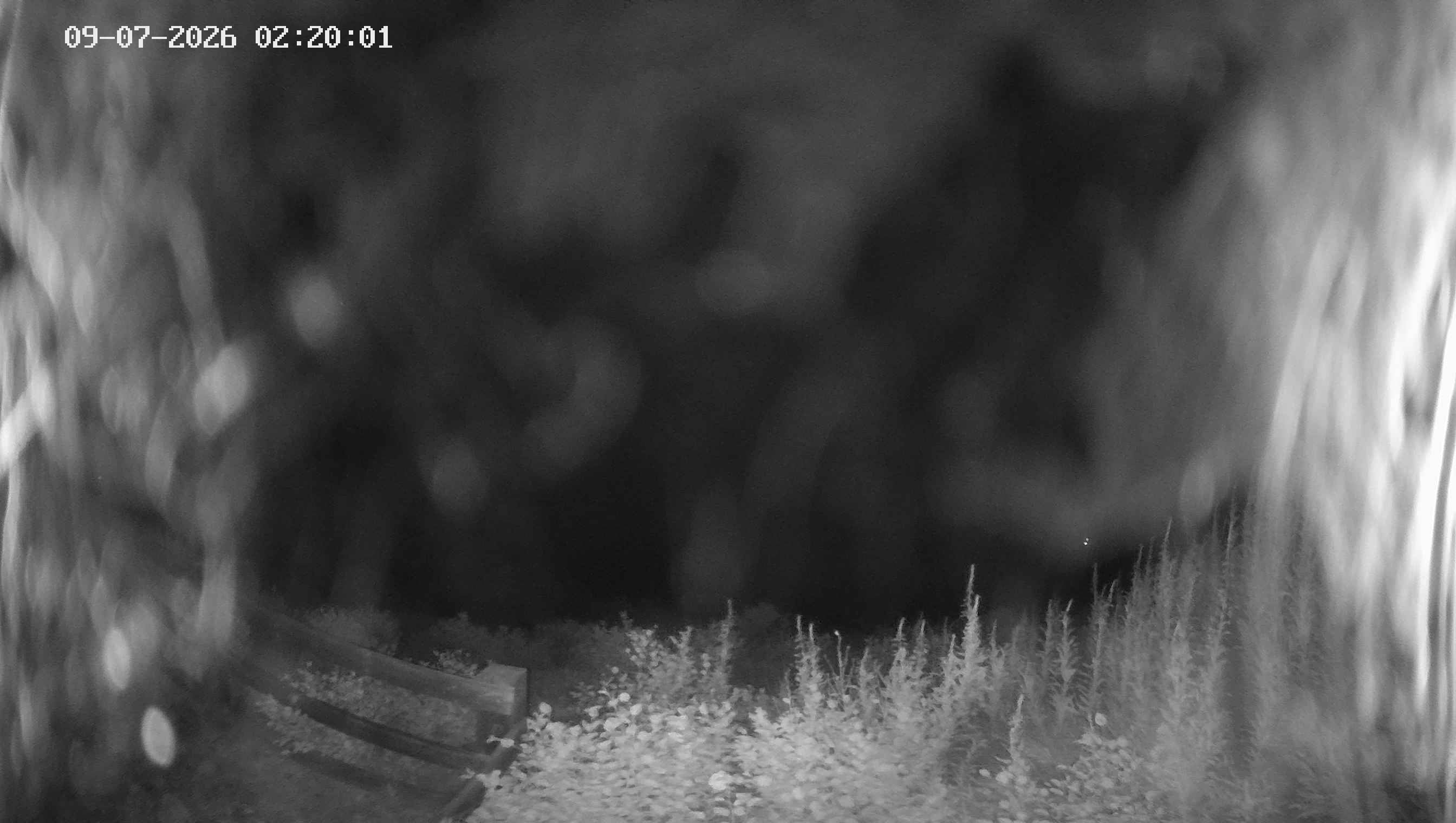 Archiv Foto Webcam Ladurns - Edelweißhütte