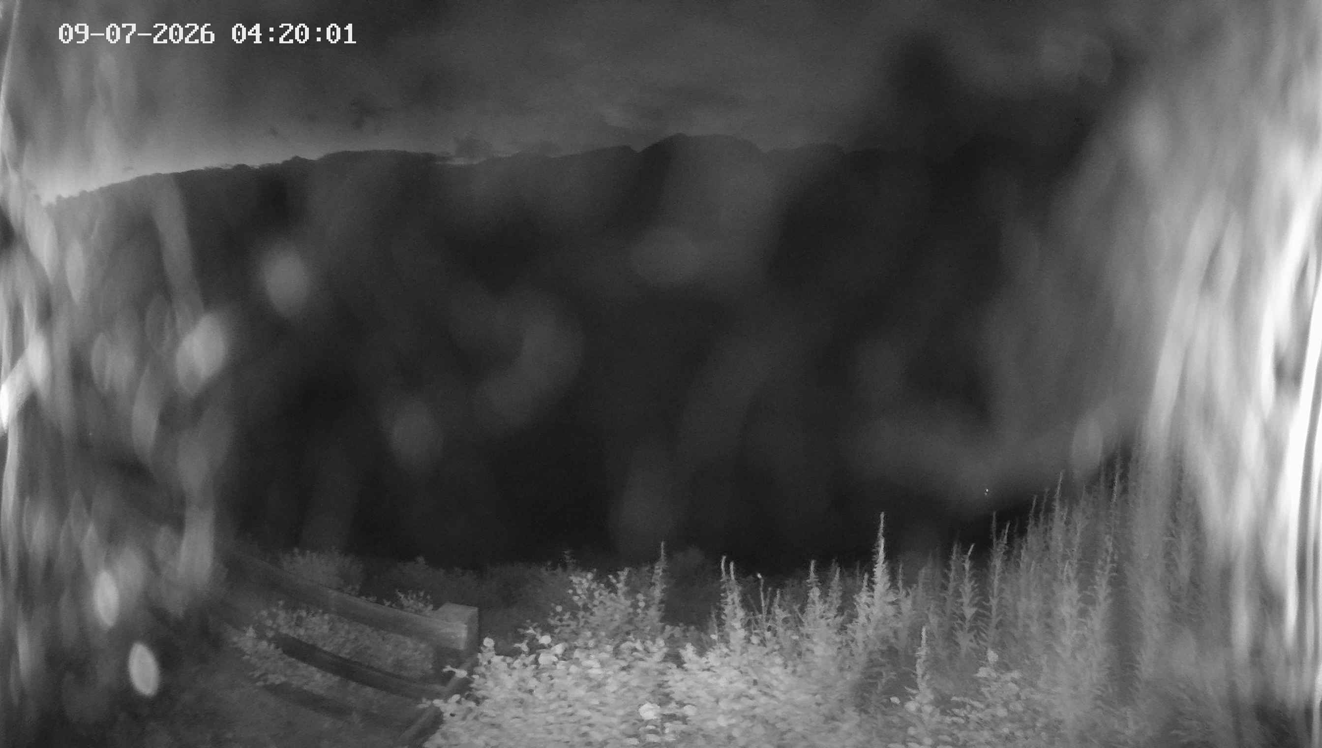 Archiv Foto Webcam Ladurns - Edelweißhütte