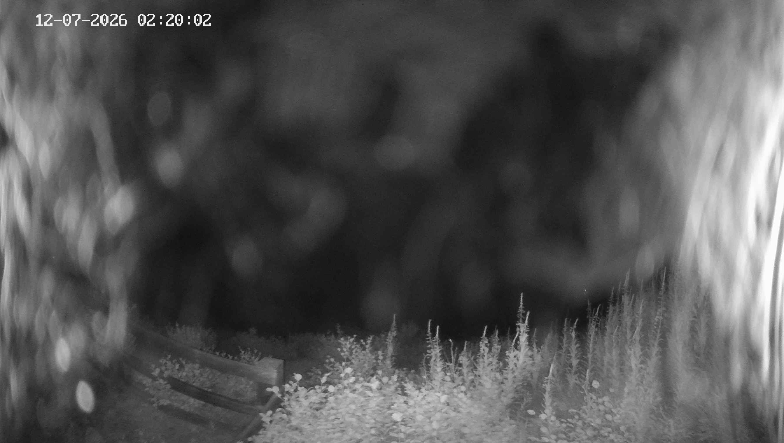 Archived image Webcam Ladurns - Malga Edelweis