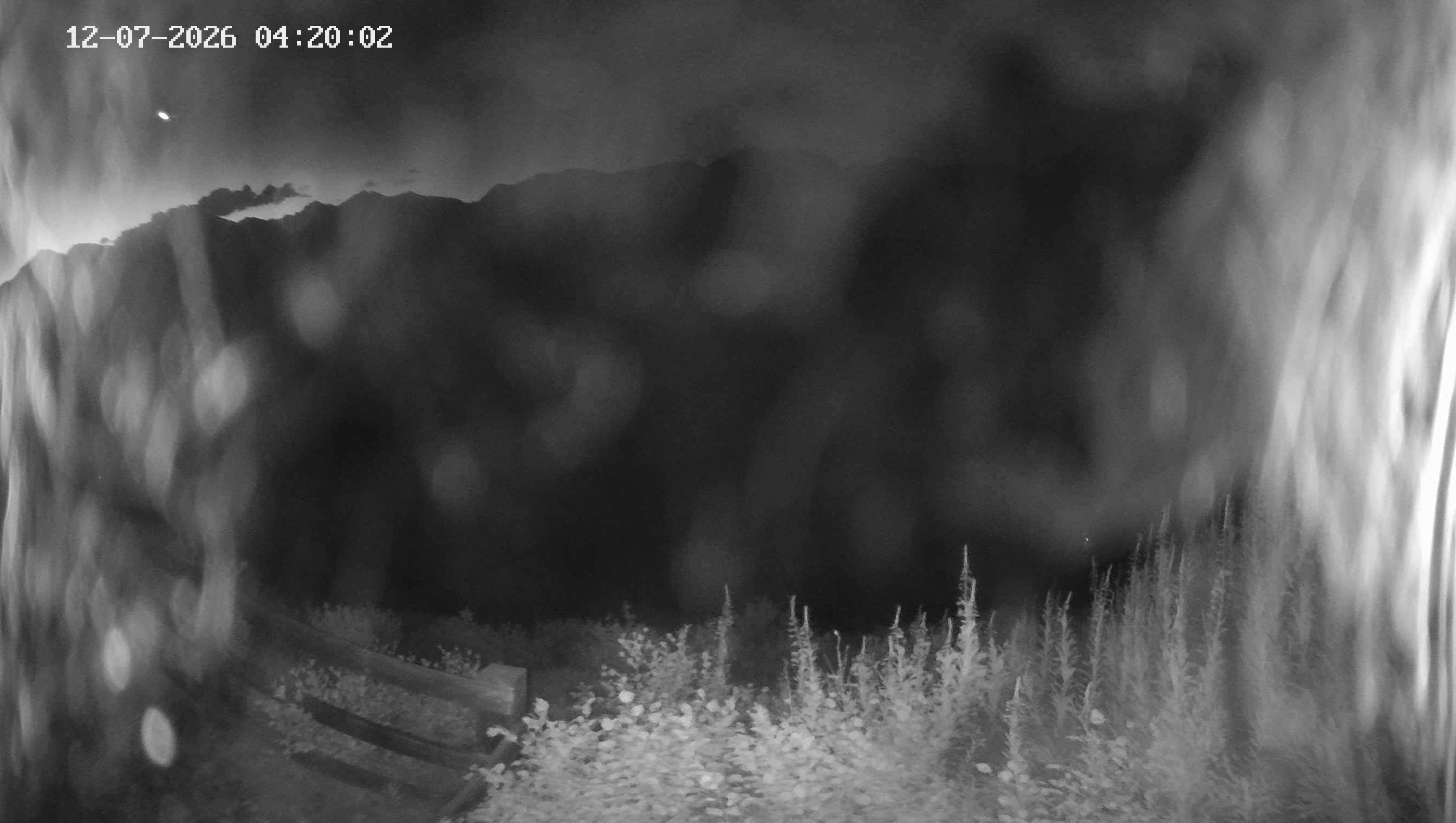 Archived image Webcam Ladurns - Malga Edelweis