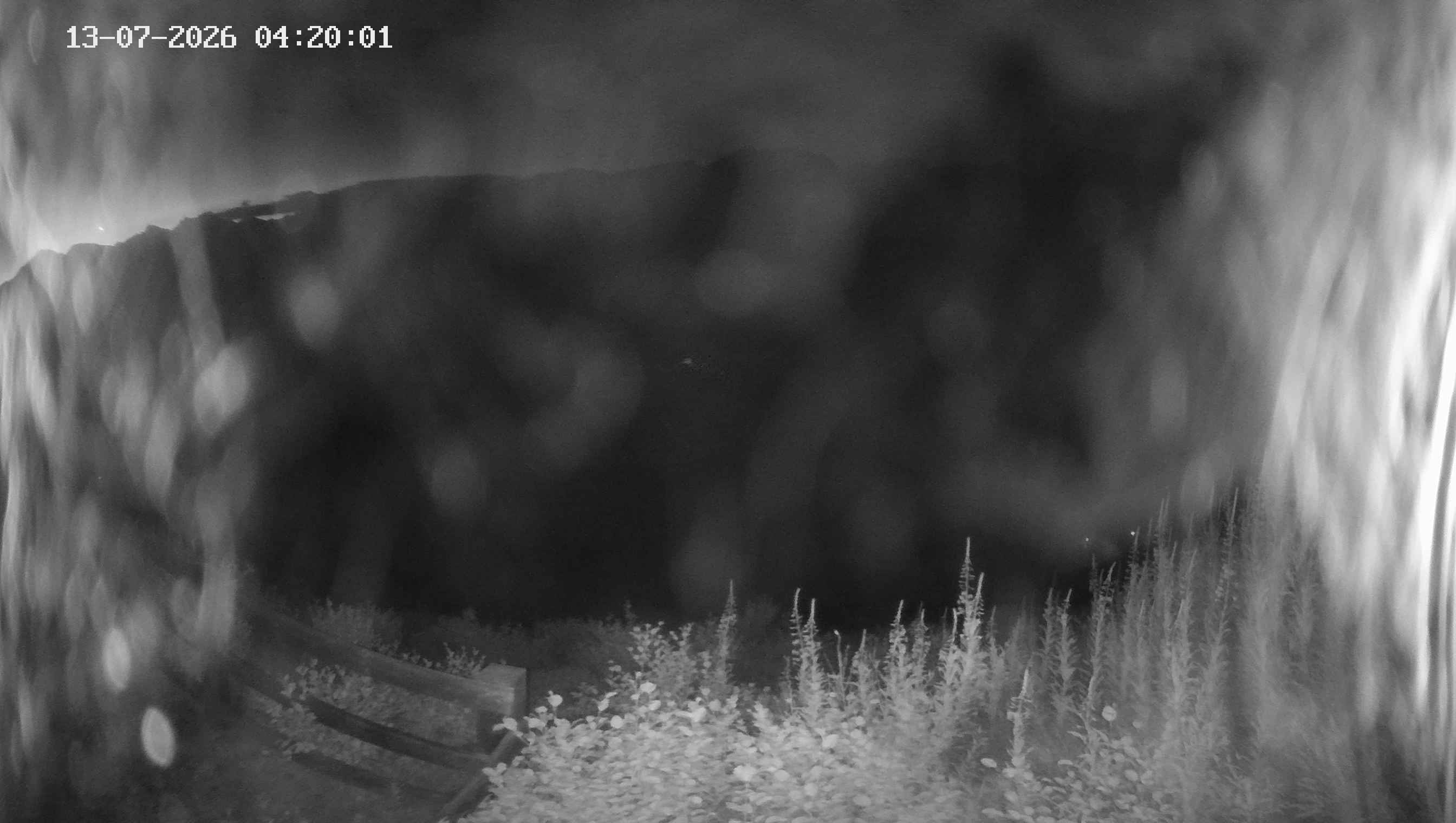 Archived image Webcam Ladurns - Malga Edelweis