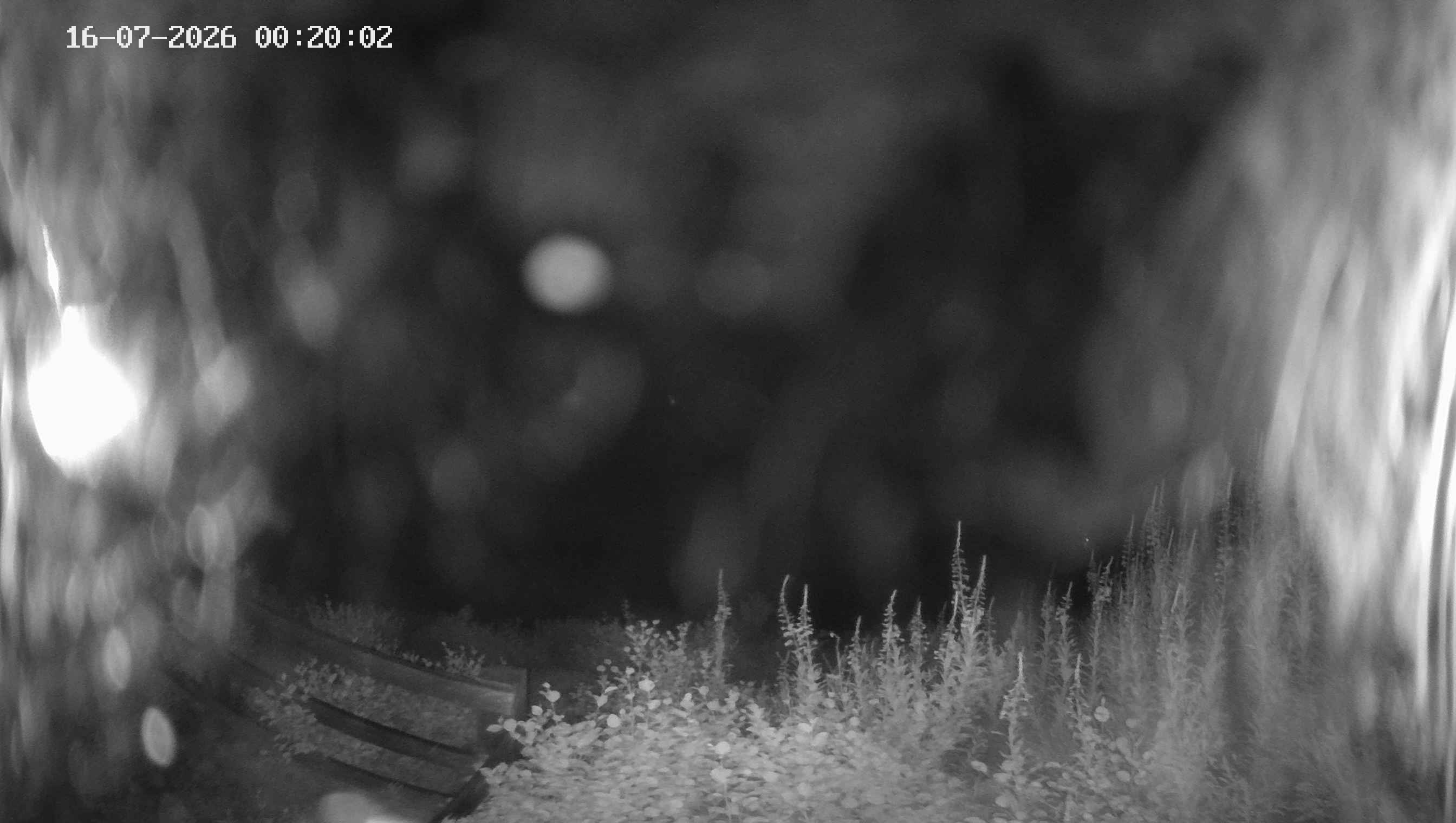 Archived image Webcam Ladurns - Malga Edelweis