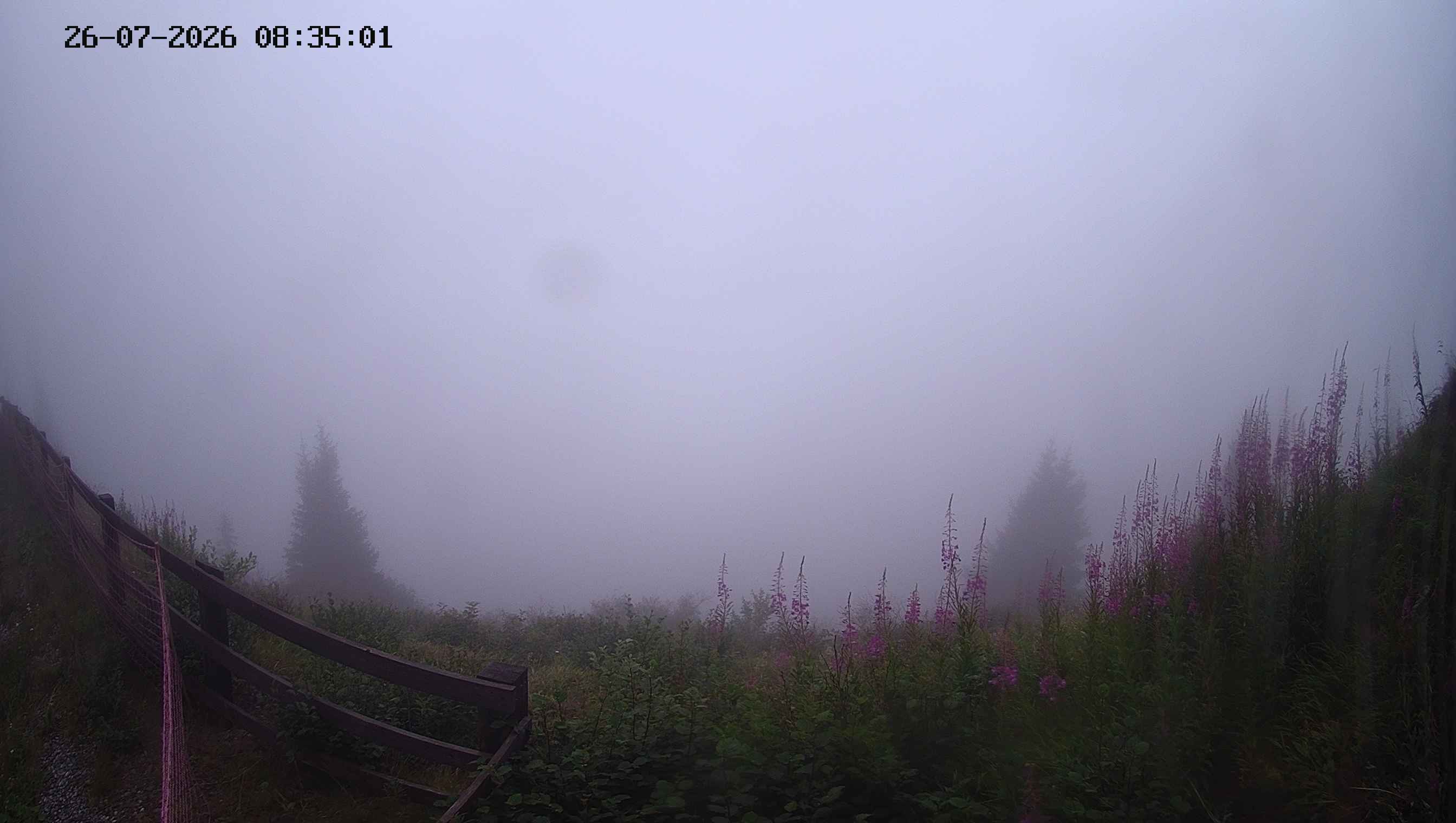 Archiv Foto Webcam Ladurns - Edelweißhütte