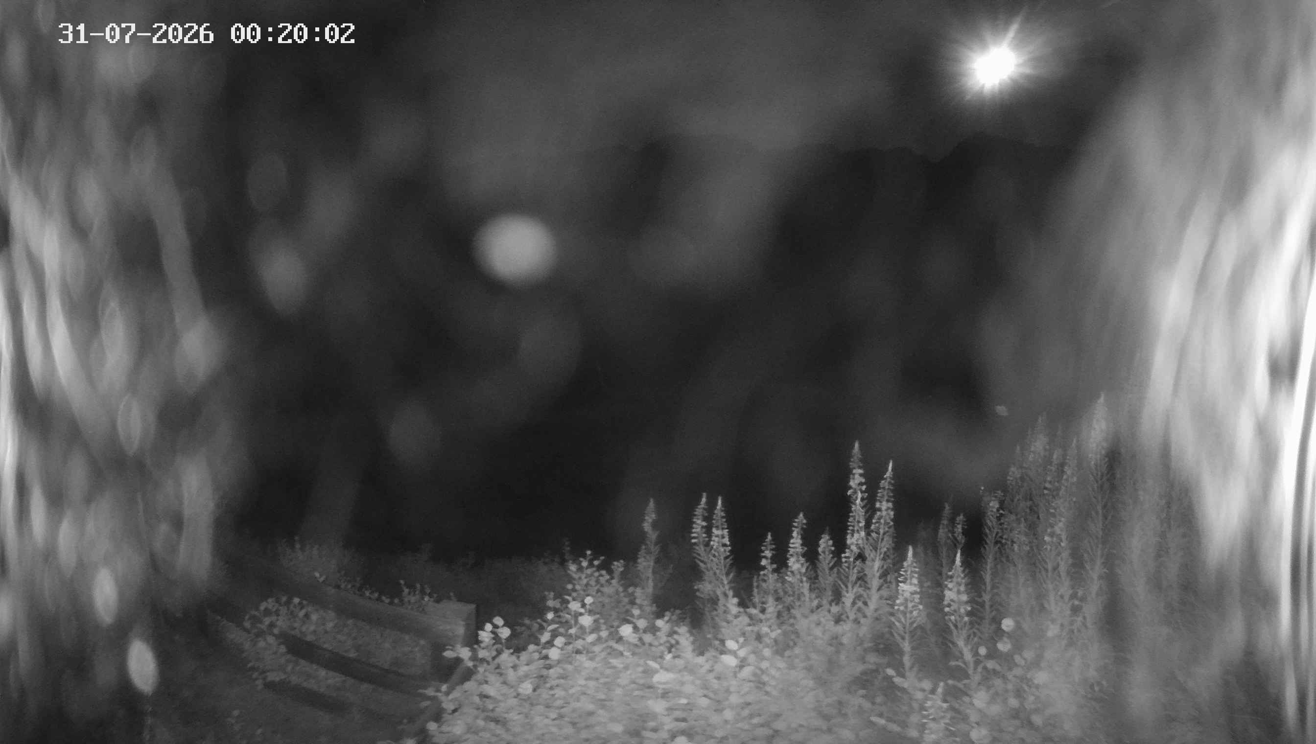 Archiv Foto Webcam Ladurns - Edelweißhütte