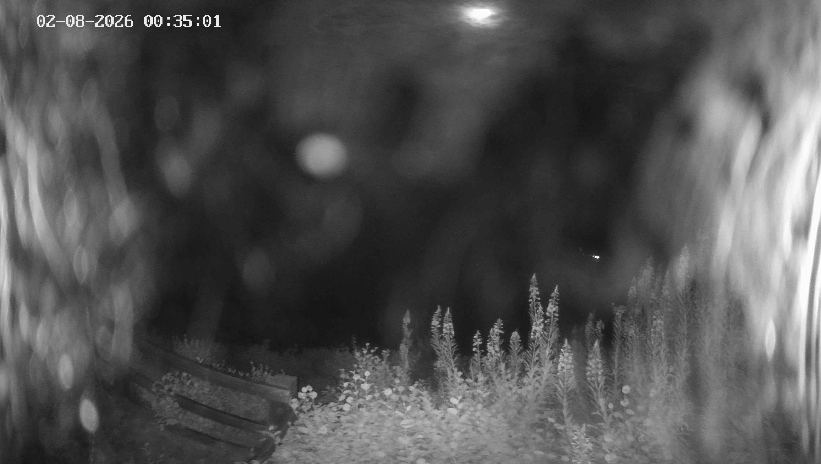 Archived image Webcam Ladurns - Malga Edelweis