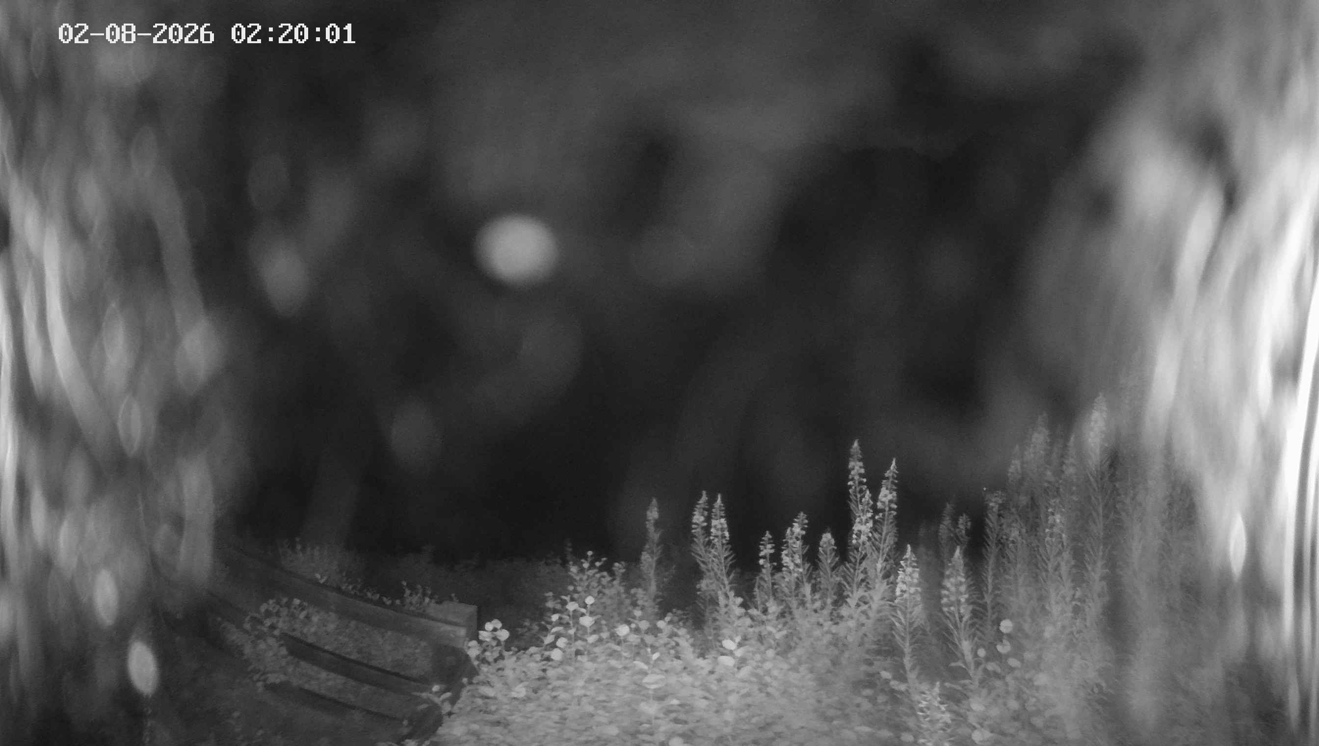 Archived image Webcam Ladurns - Malga Edelweis