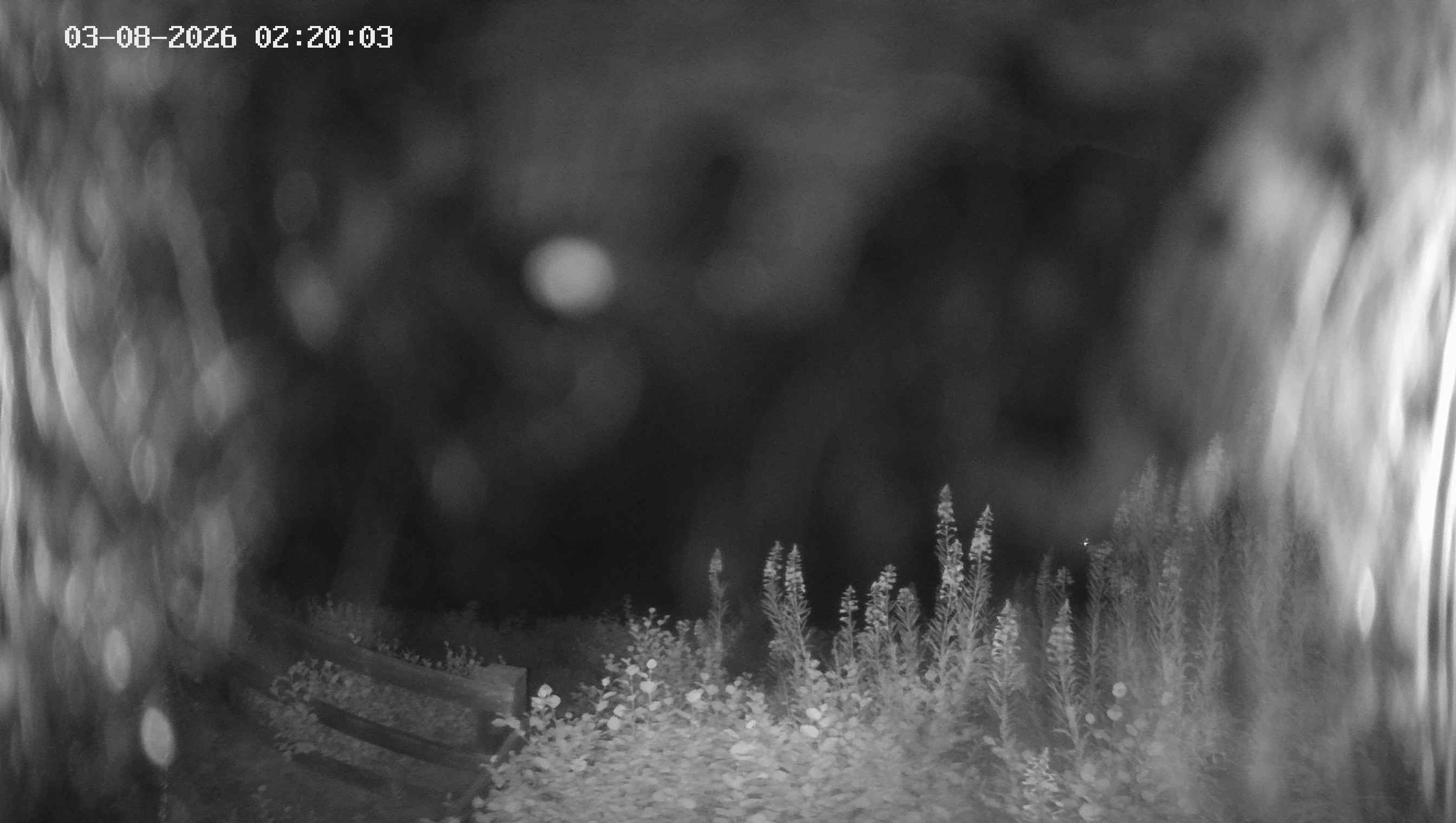 Archived image Webcam Ladurns - Malga Edelweis