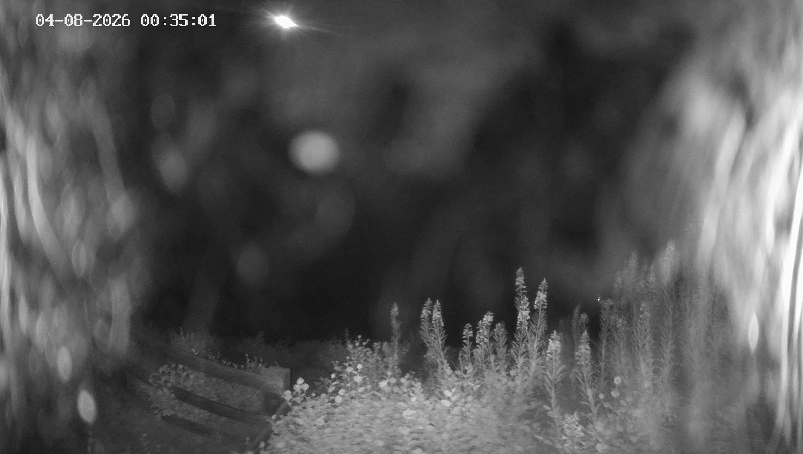 Archived image Webcam Ladurns - Malga Edelweis