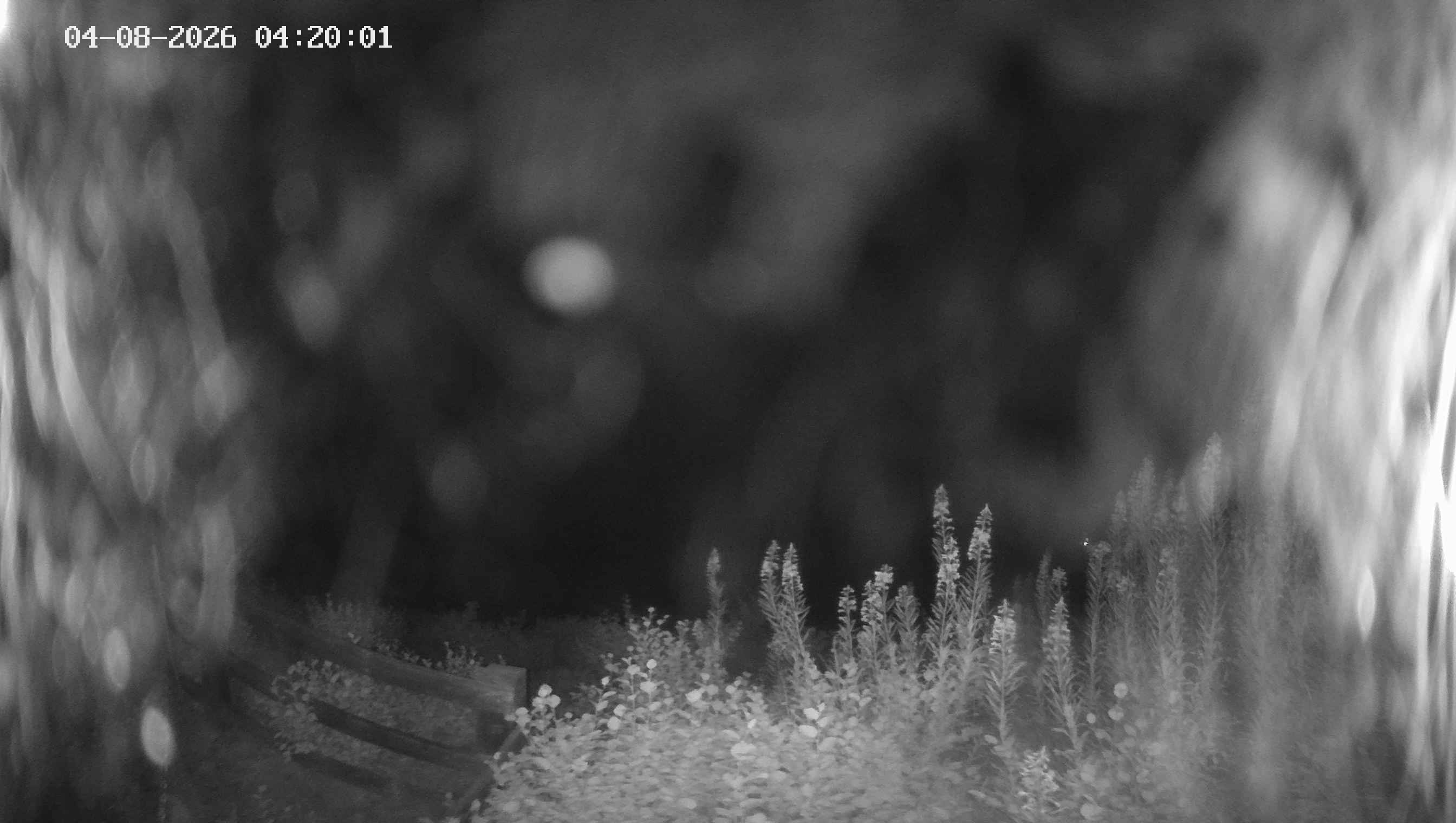 Archived image Webcam Ladurns - Malga Edelweis