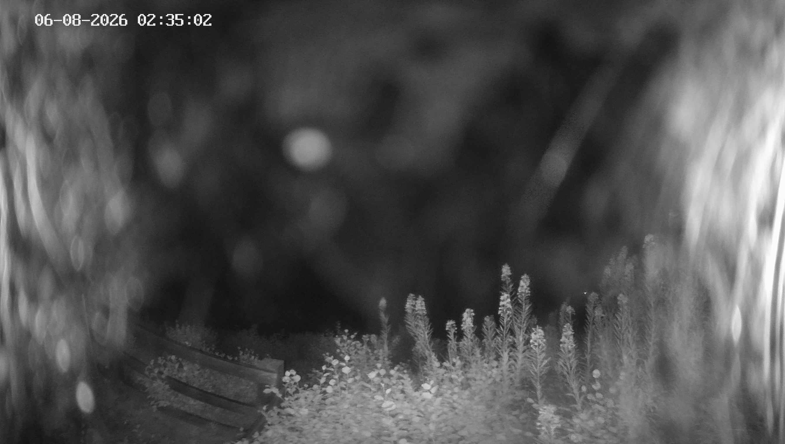 Archived image Webcam Ladurns - Malga Edelweis