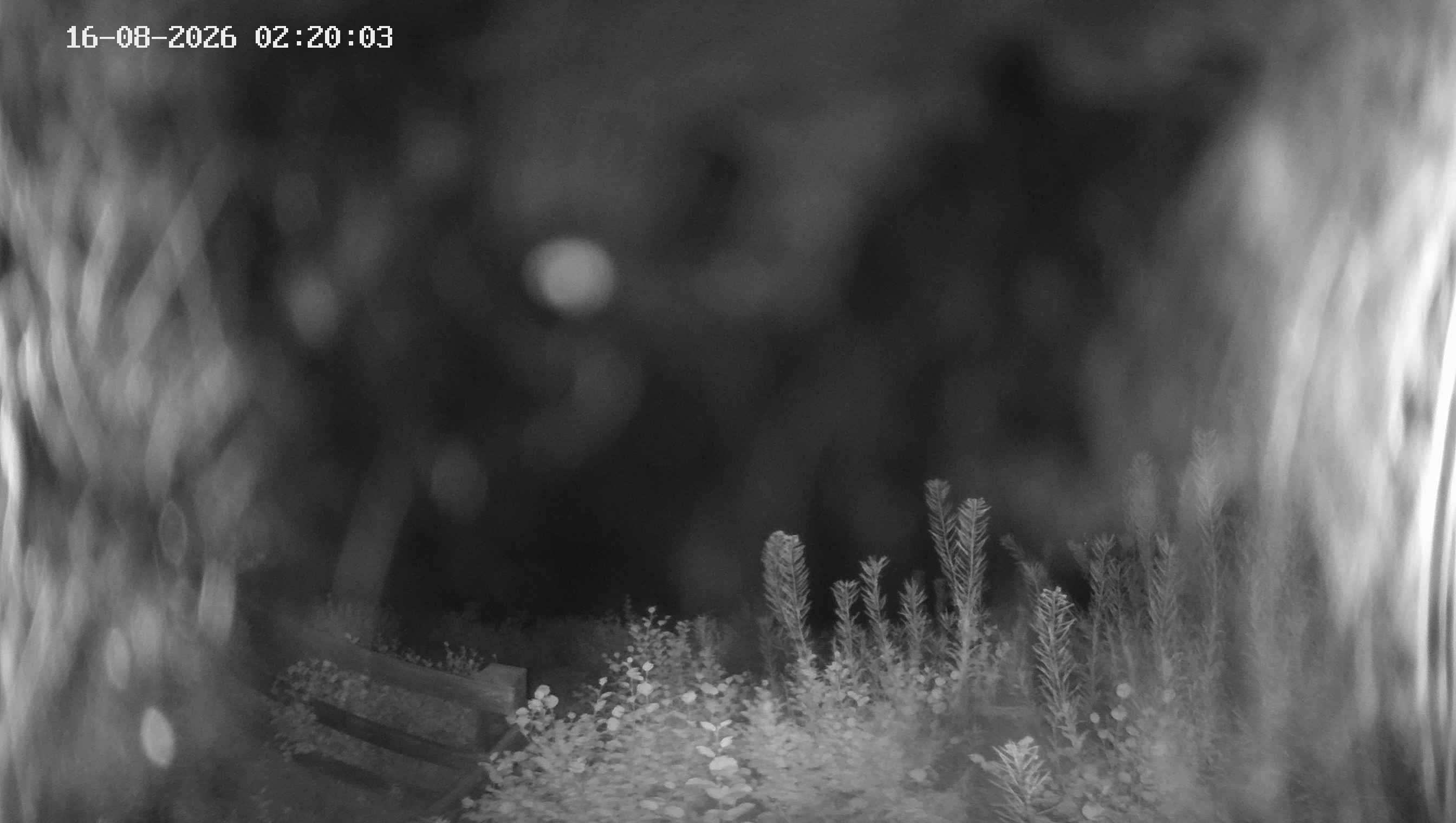 Archived image Webcam Ladurns - Malga Edelweis