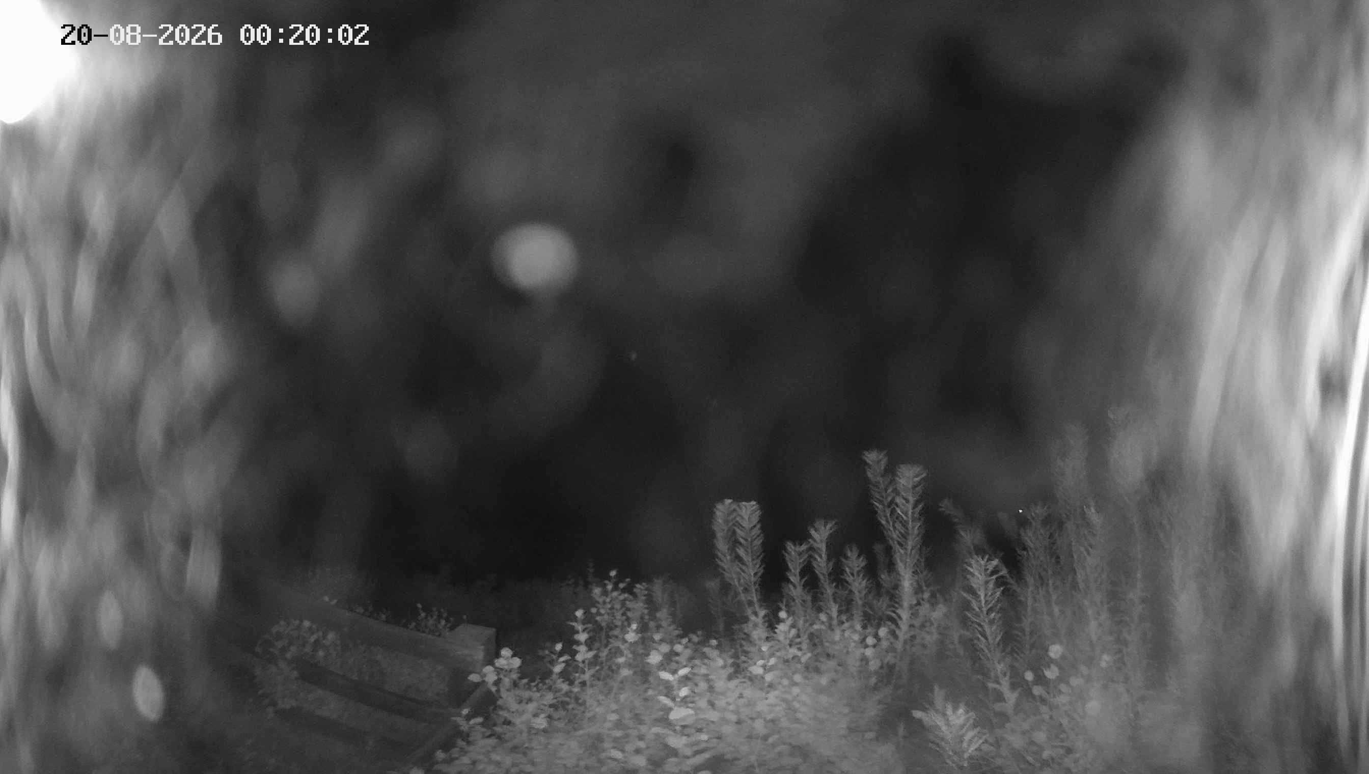 Archived image Webcam Ladurns - Malga Edelweis