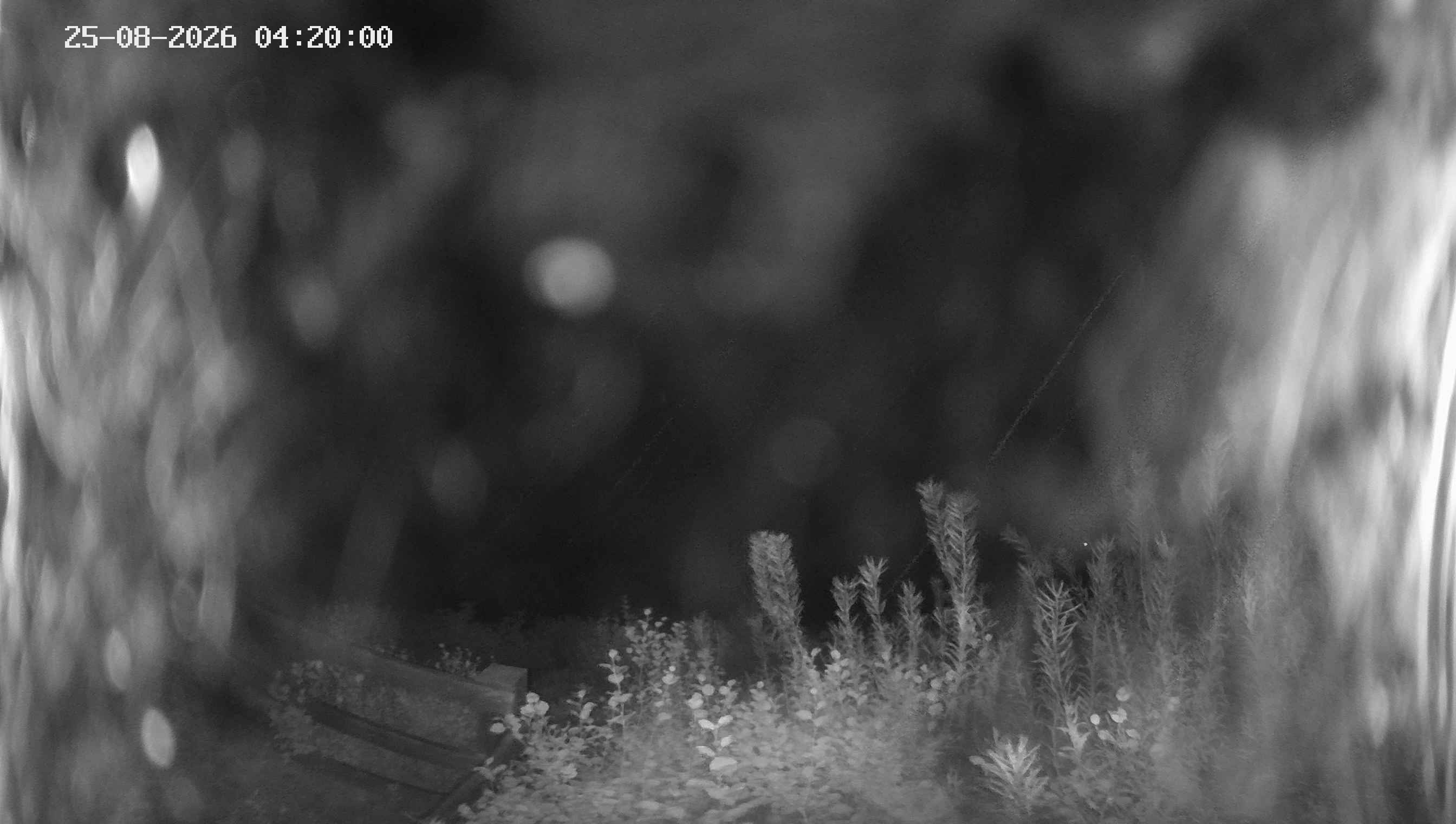 Archiv Foto Webcam Ladurns - Edelweißhütte