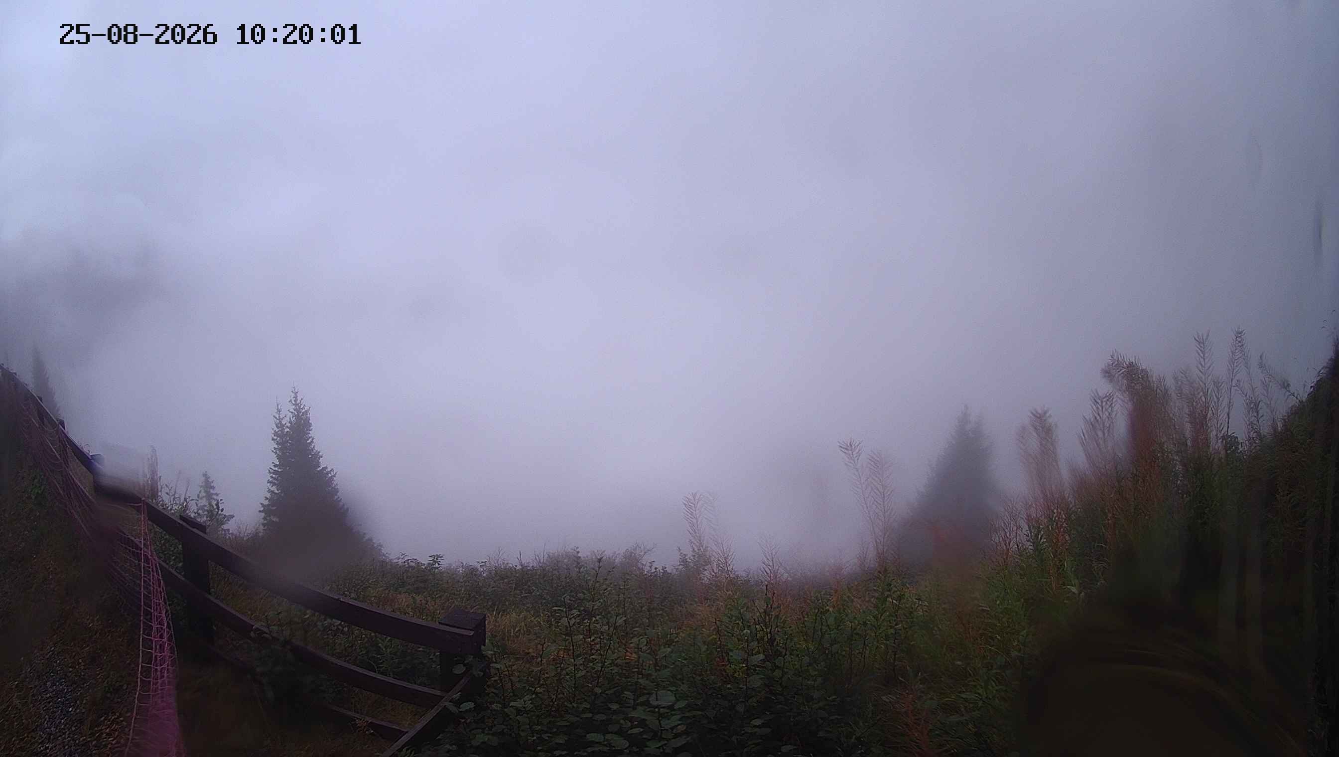 Archiv Foto Webcam Ladurns - Edelweißhütte