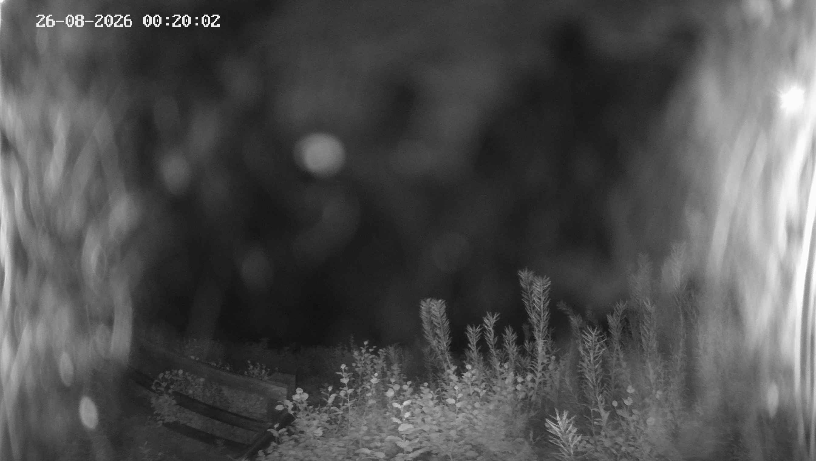 Archived image Webcam Ladurns - Malga Edelweis