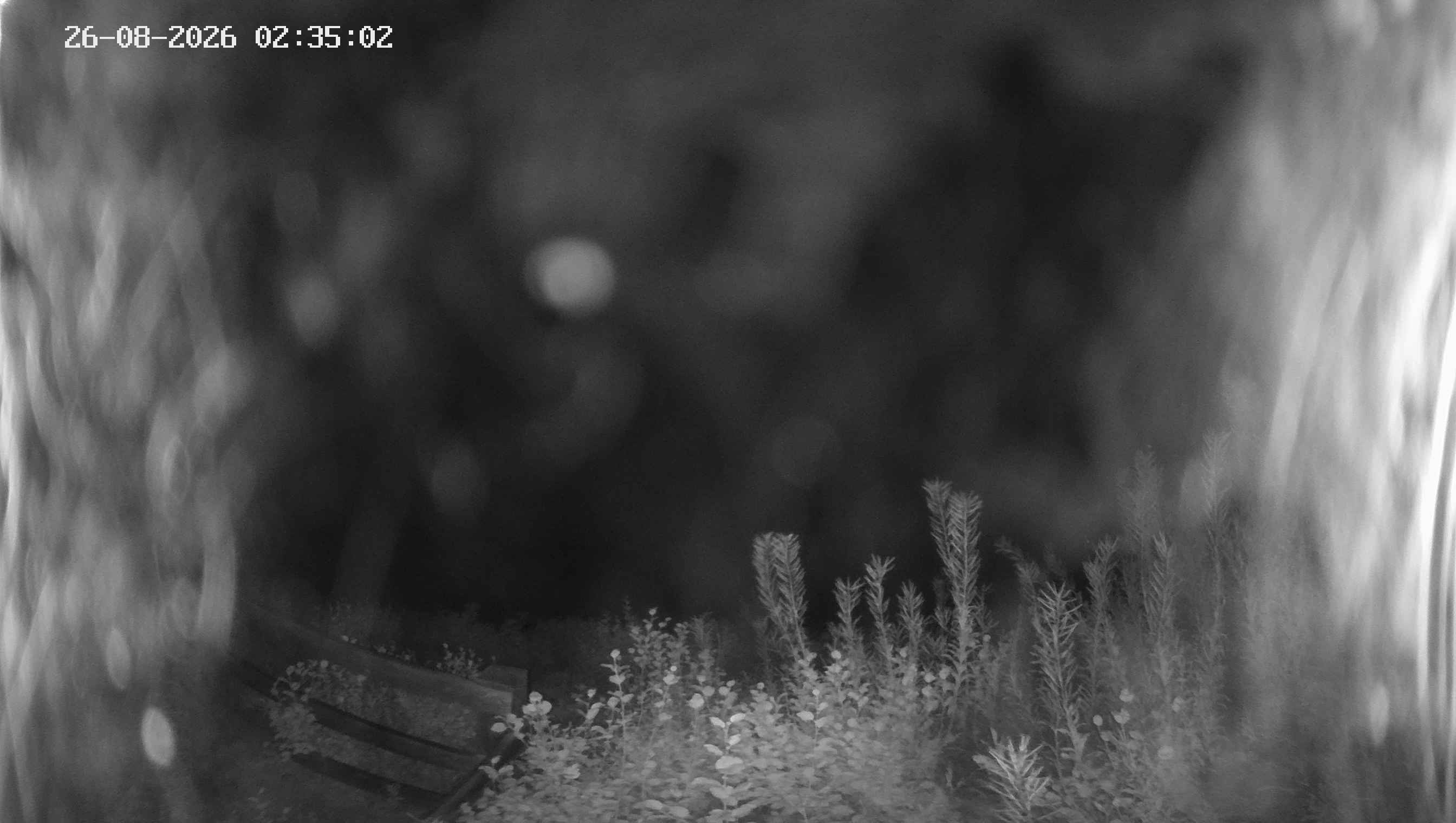 Archived image Webcam Ladurns - Malga Edelweis