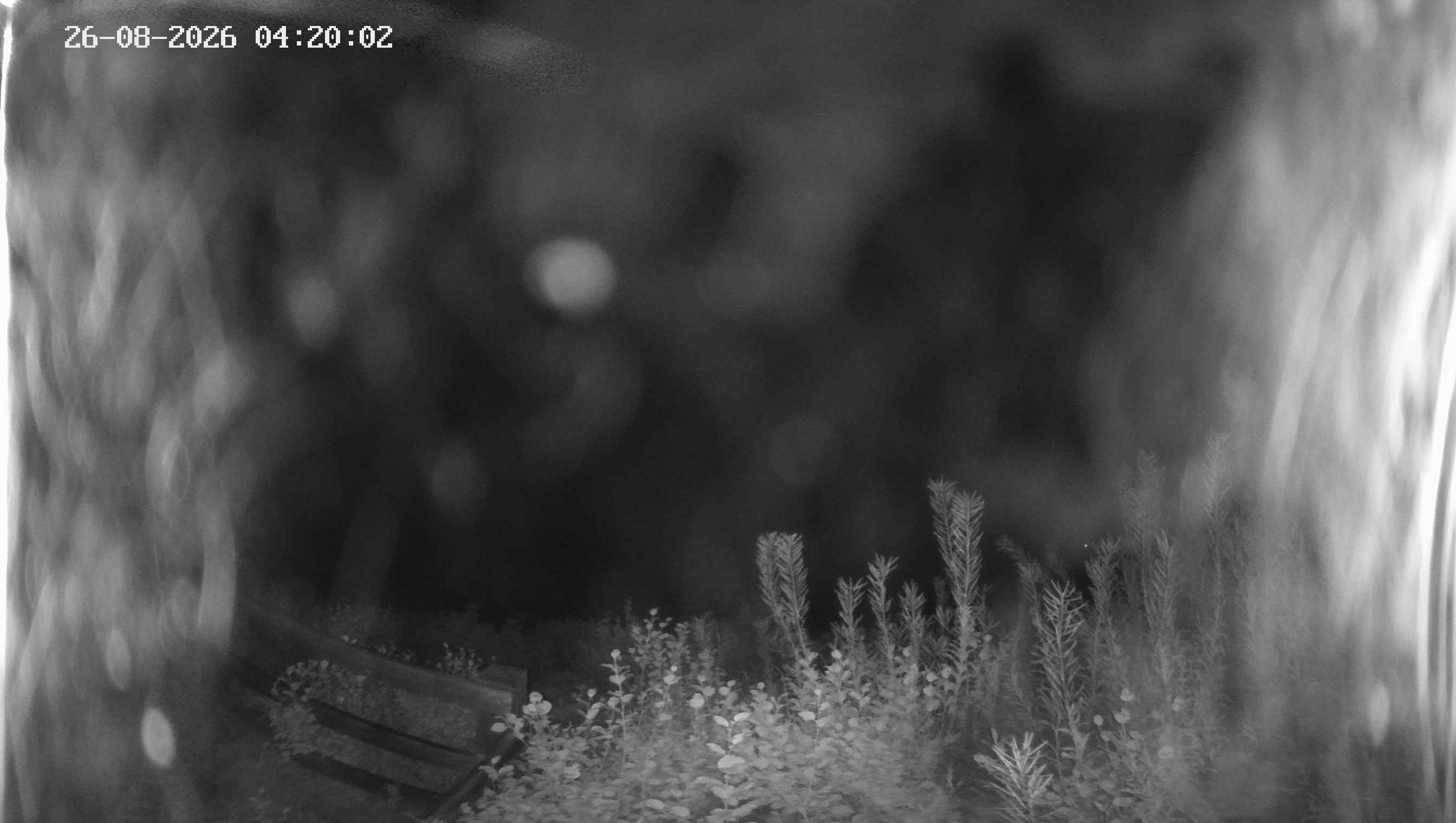 Archived image Webcam Ladurns - Malga Edelweis