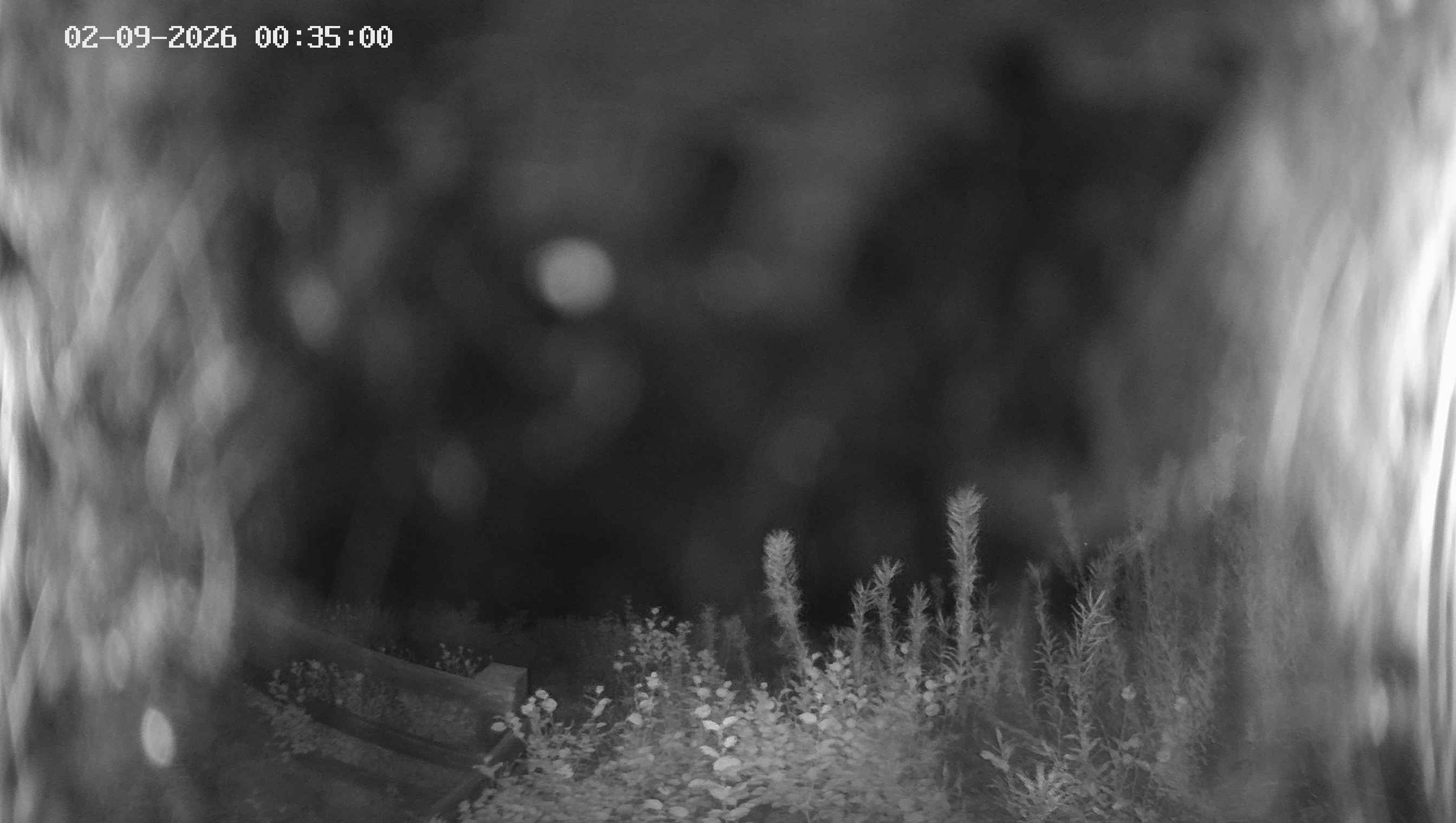Archived image Webcam Ladurns - Malga Edelweis