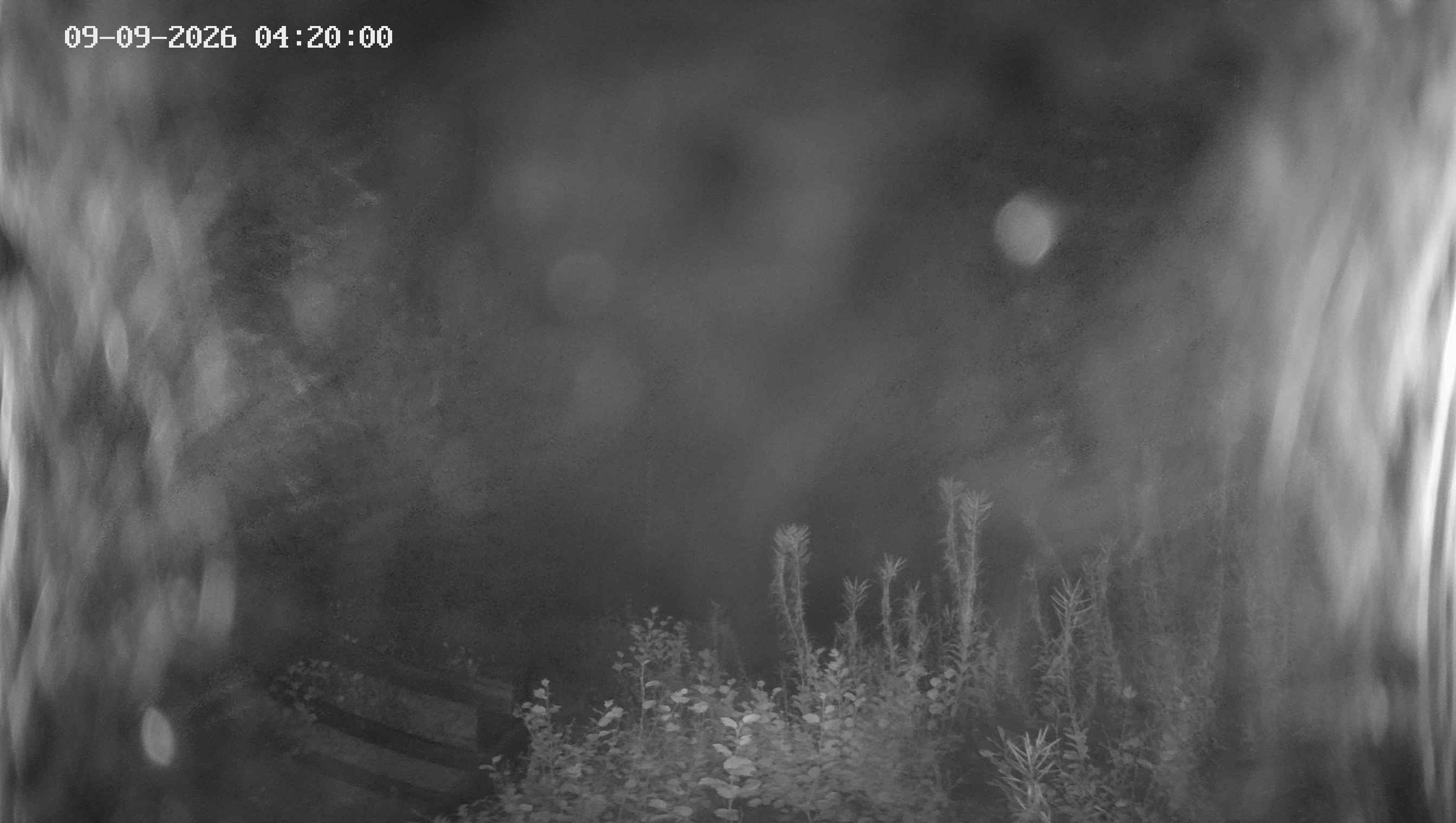 Archiv Foto Webcam Ladurns - Edelweißhütte