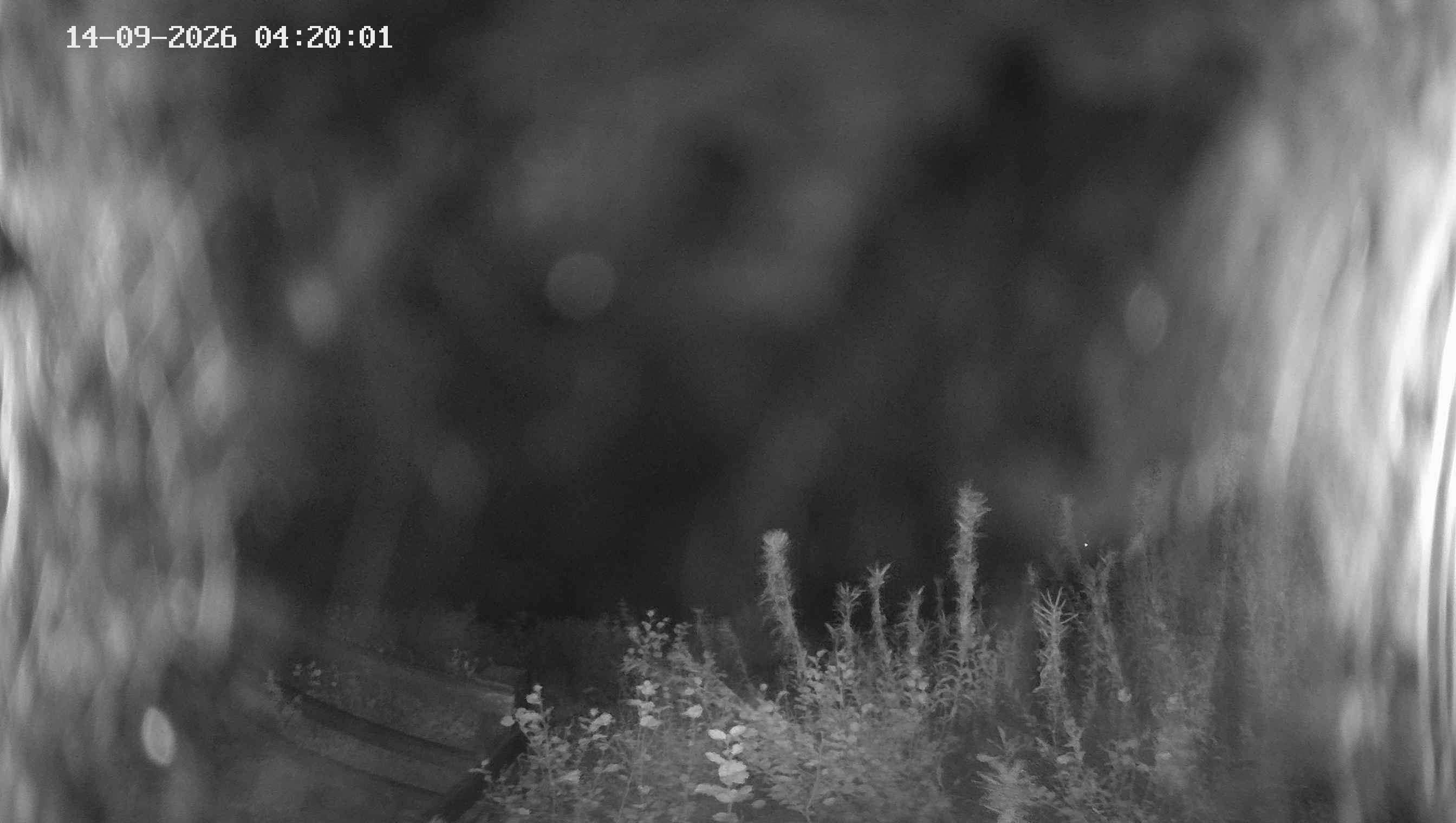 Archiv Foto Webcam Ladurns - Edelweißhütte